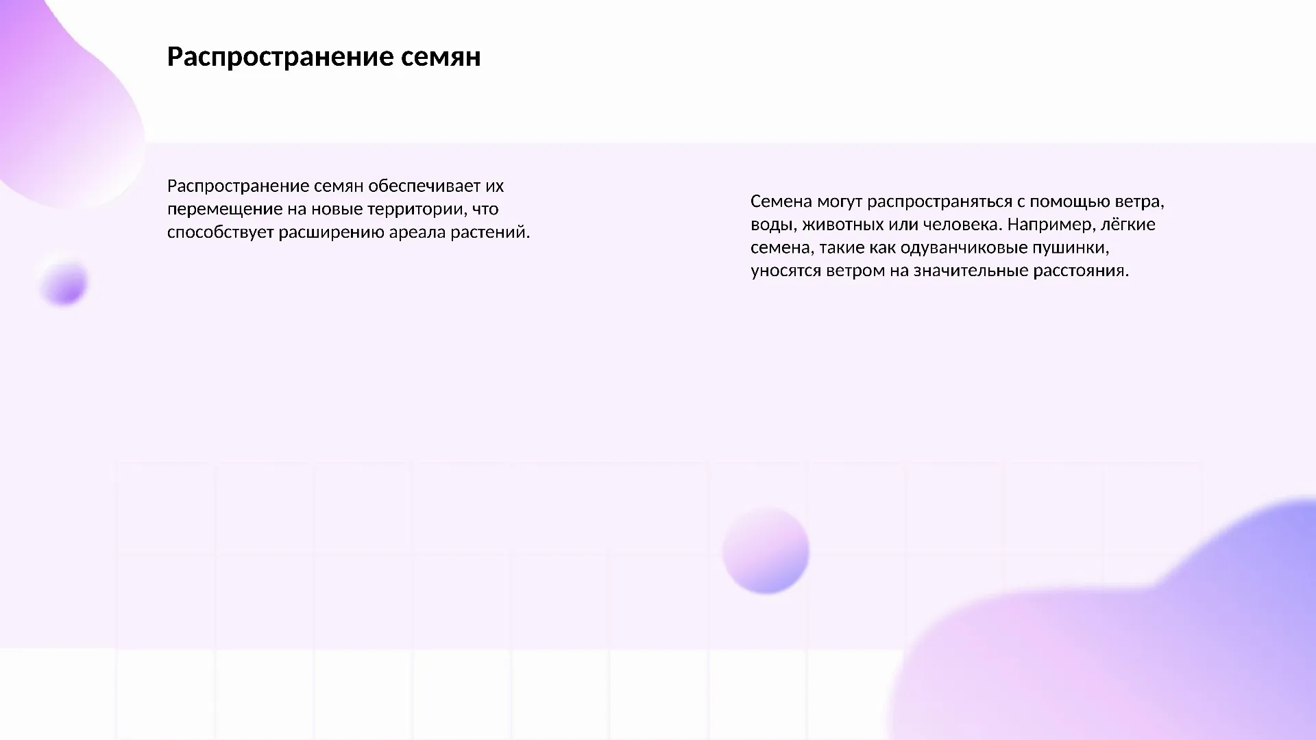 Распространение семян - слайд для презентации на тему 