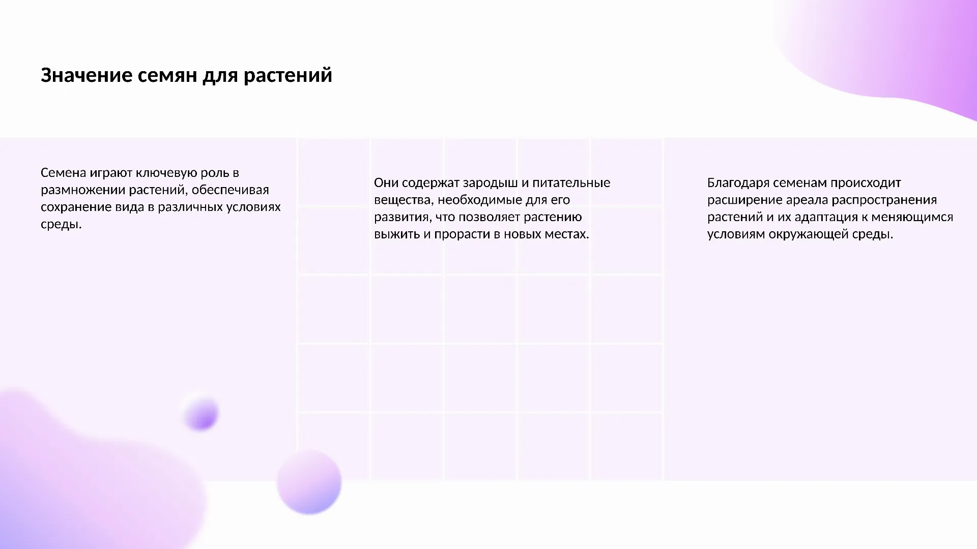 Значение семян для растений - слайд для презентации на тему 
