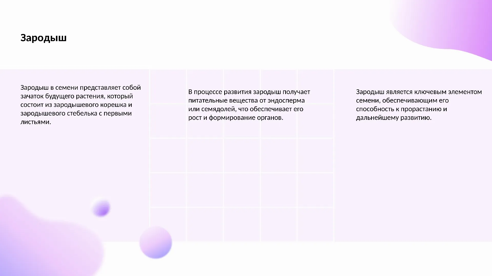 Зародыш - слайд для презентации на тему 