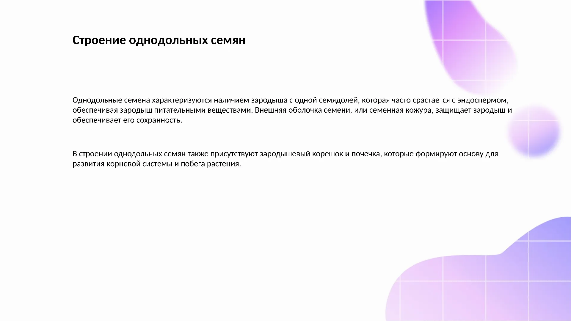 Строение однодольных семян - слайд для презентации на тему 
