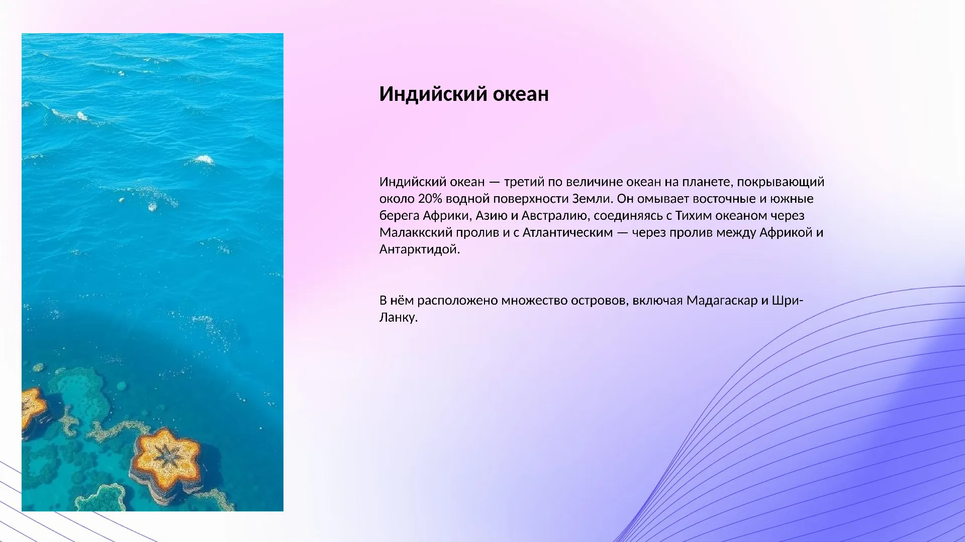 Индийский океан - слайд для презентации на тему 