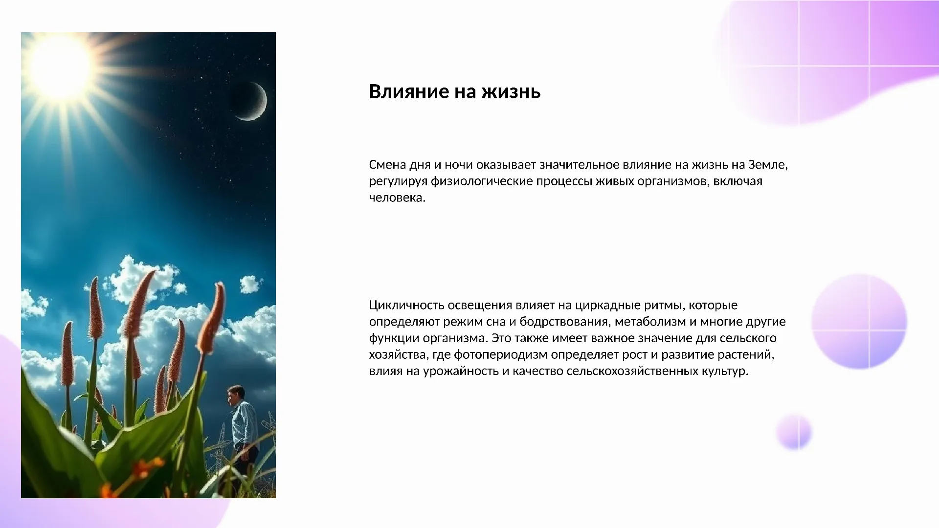 Влияние на жизнь - слайд для презентации на тему 