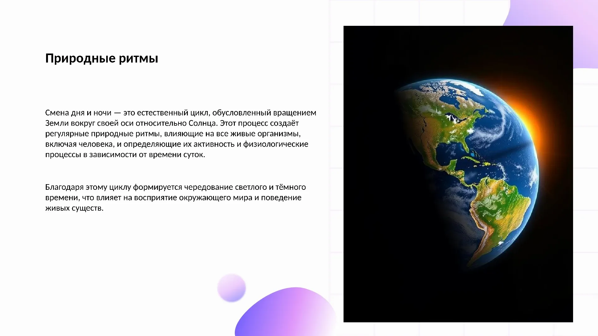 Природные ритмы - слайд для презентации на тему 