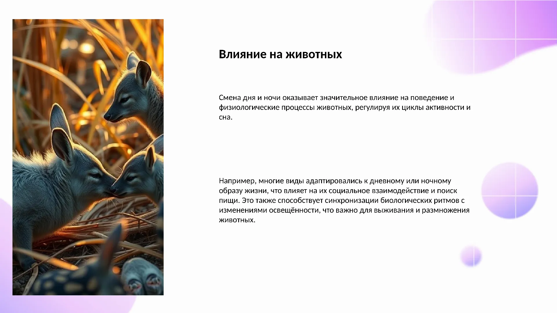 Влияние на животных - слайд для презентации на тему 