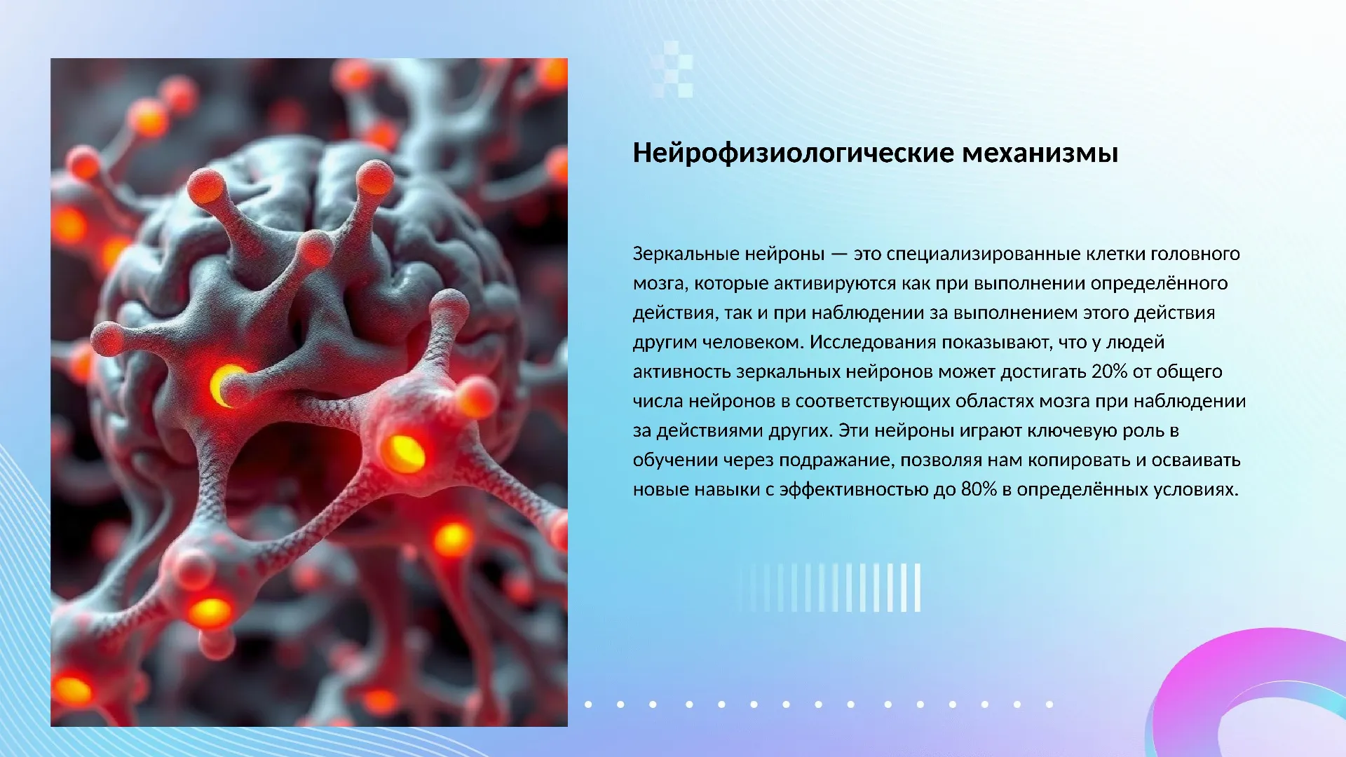 Нейрофизиологические механизмы - слайд для презентации на тему 