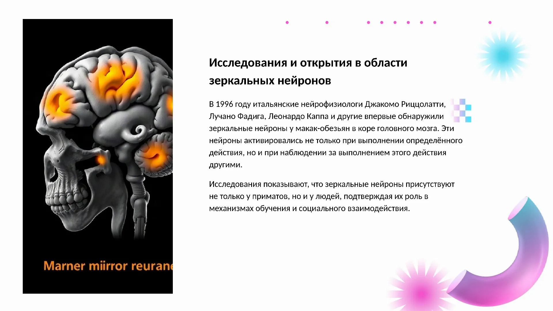 Исследования и открытия в области зеркальных нейронов - слайд для презентации на тему 