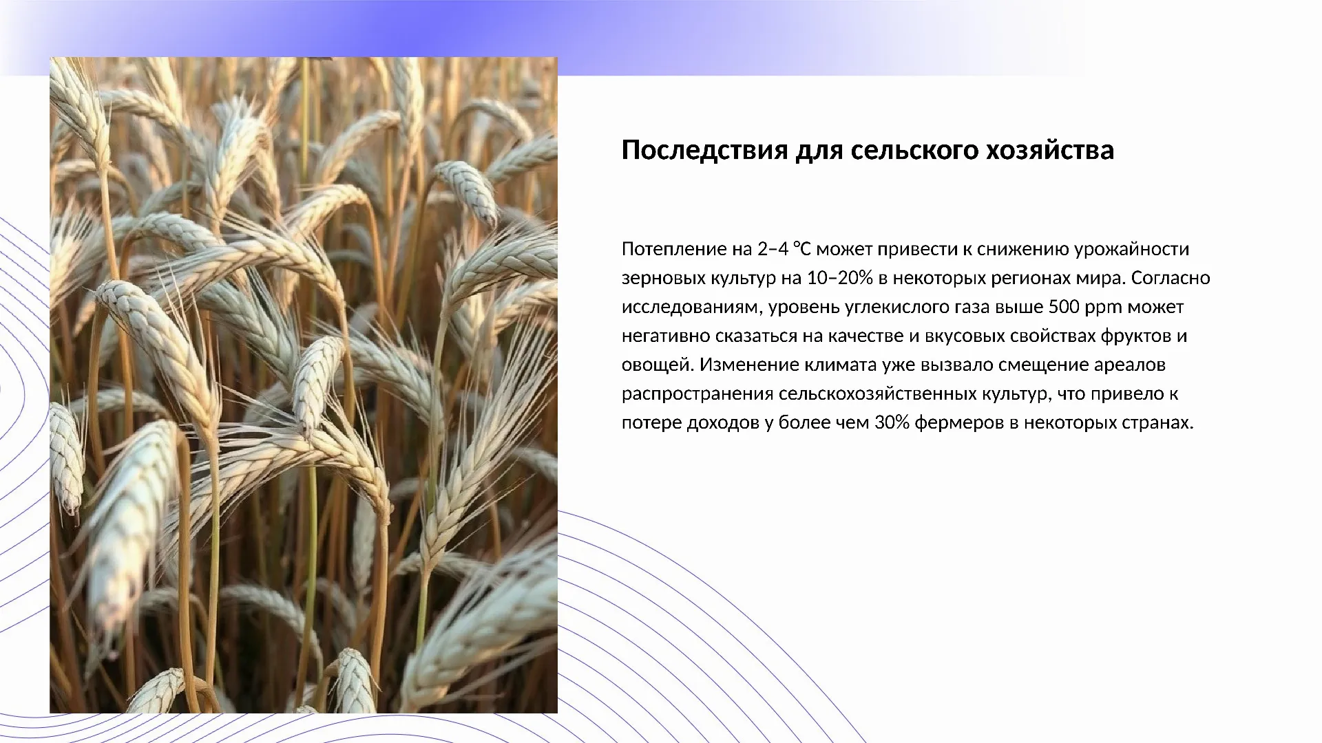 Последствия для сельского хозяйства - слайд для презентации на тему 