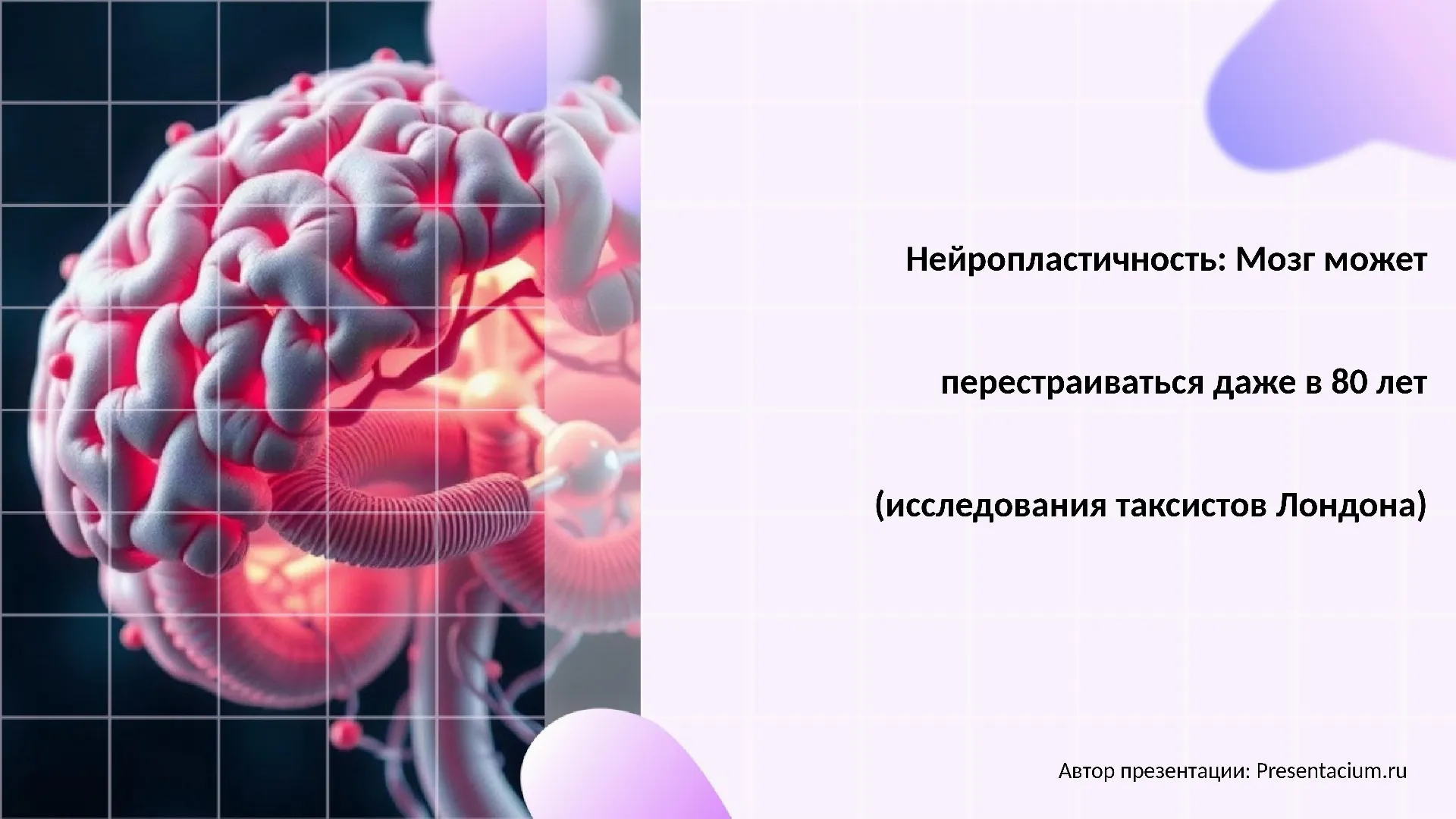 Нейропластичность: Мозг может перестраиваться даже в 80 лет (исследования таксистов Лондона)