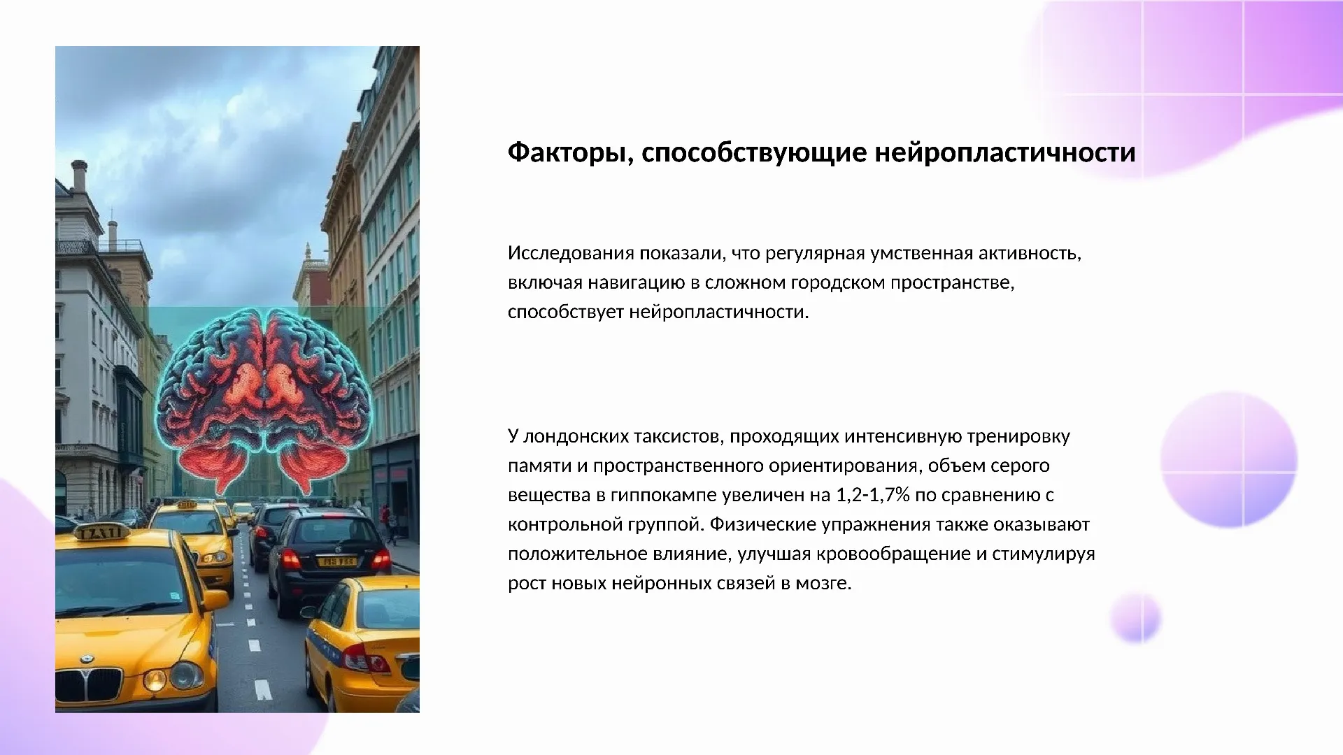 Факторы, способствующие нейропластичности - слайд для презентации на тему 