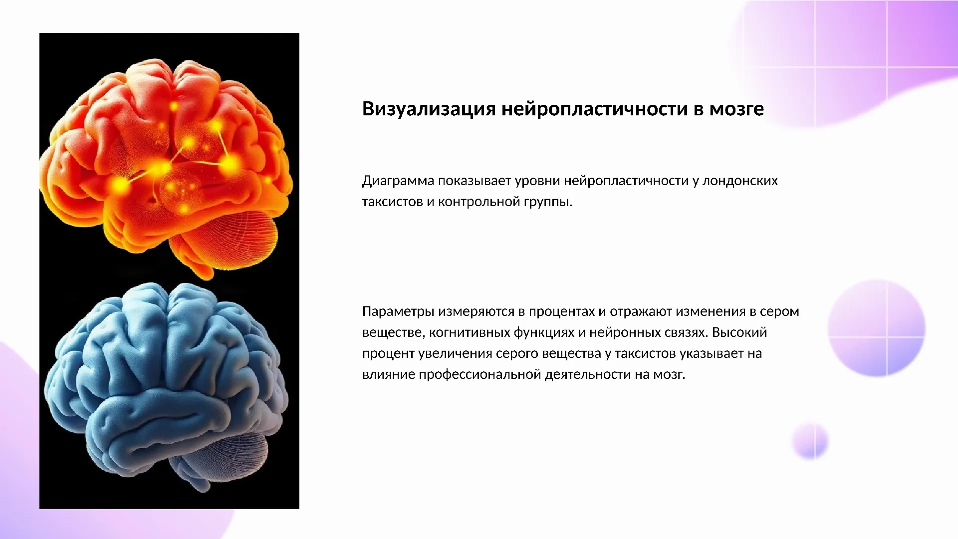 Визуализация нейропластичности в мозге - слайд для презентации на тему 