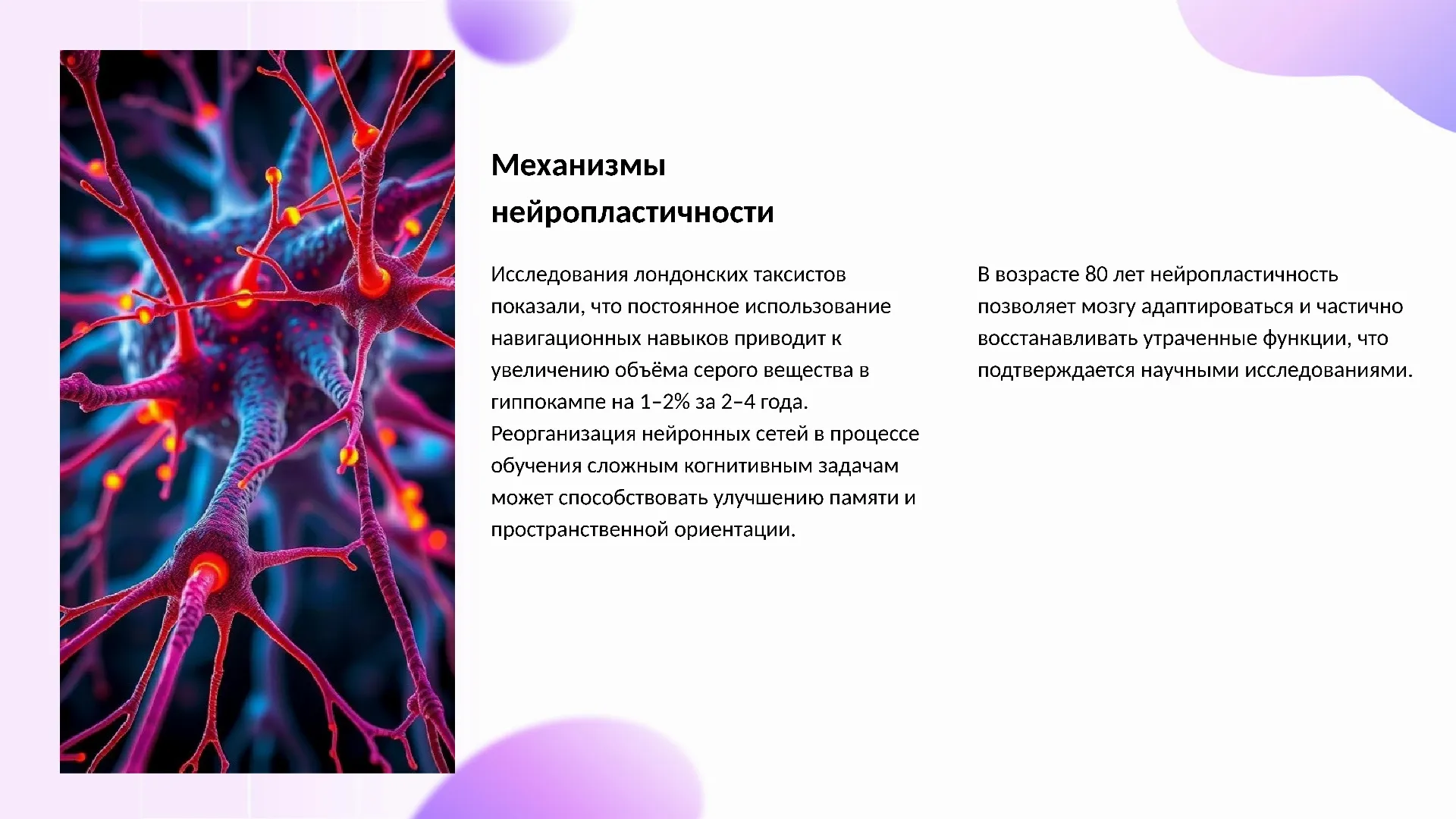 Механизмы нейропластичности - слайд для презентации на тему 