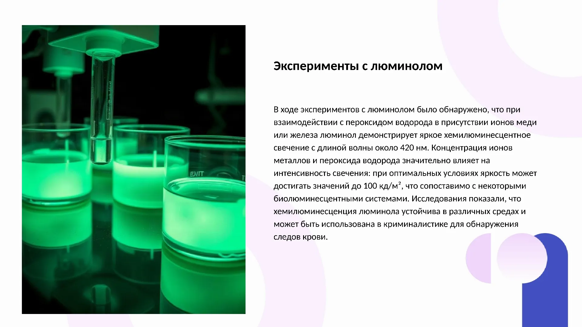Эксперименты с люминолом - слайд для презентации на тему 