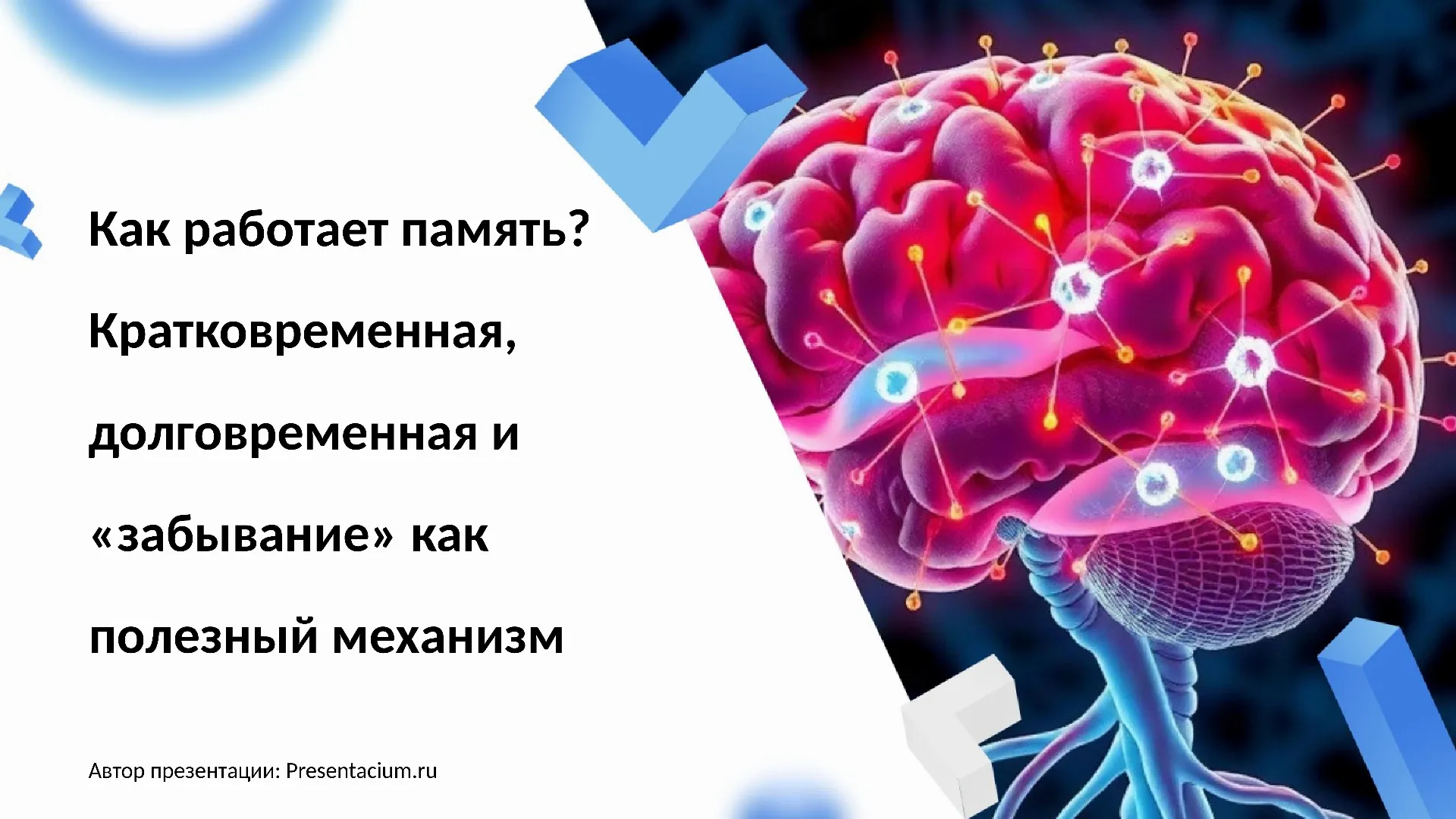 Как работает память? Кратковременная, долговременная и «забывание» как полезный механизм.