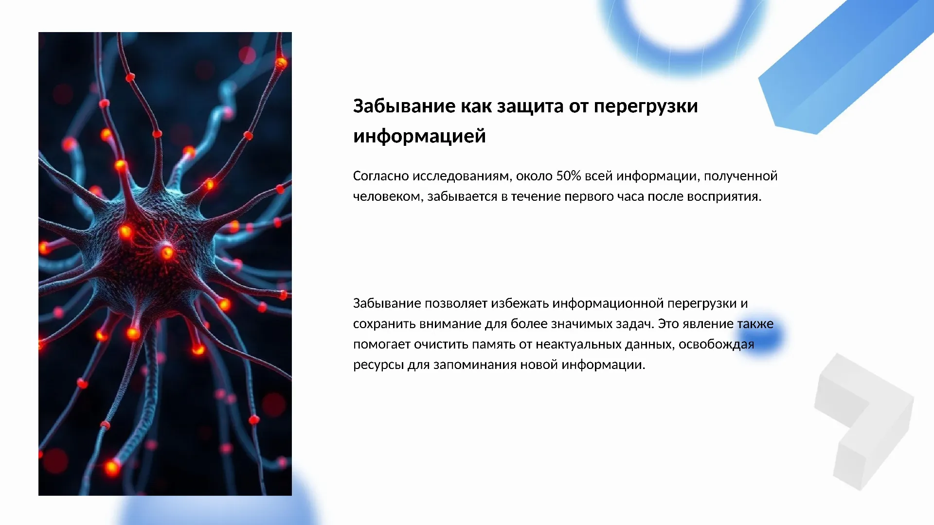 Забывание как защита от перегрузки информацией - слайд для презентации на тему 