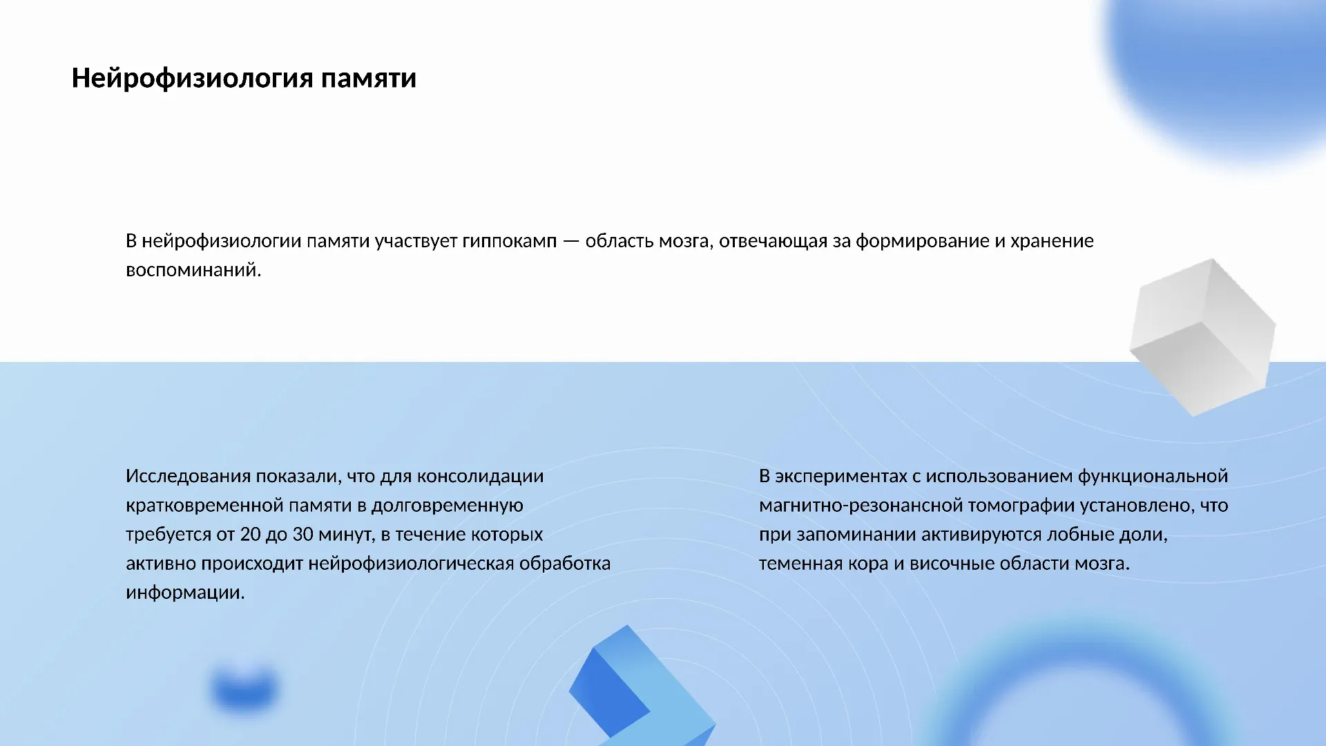 Нейрофизиология памяти - слайд для презентации на тему 