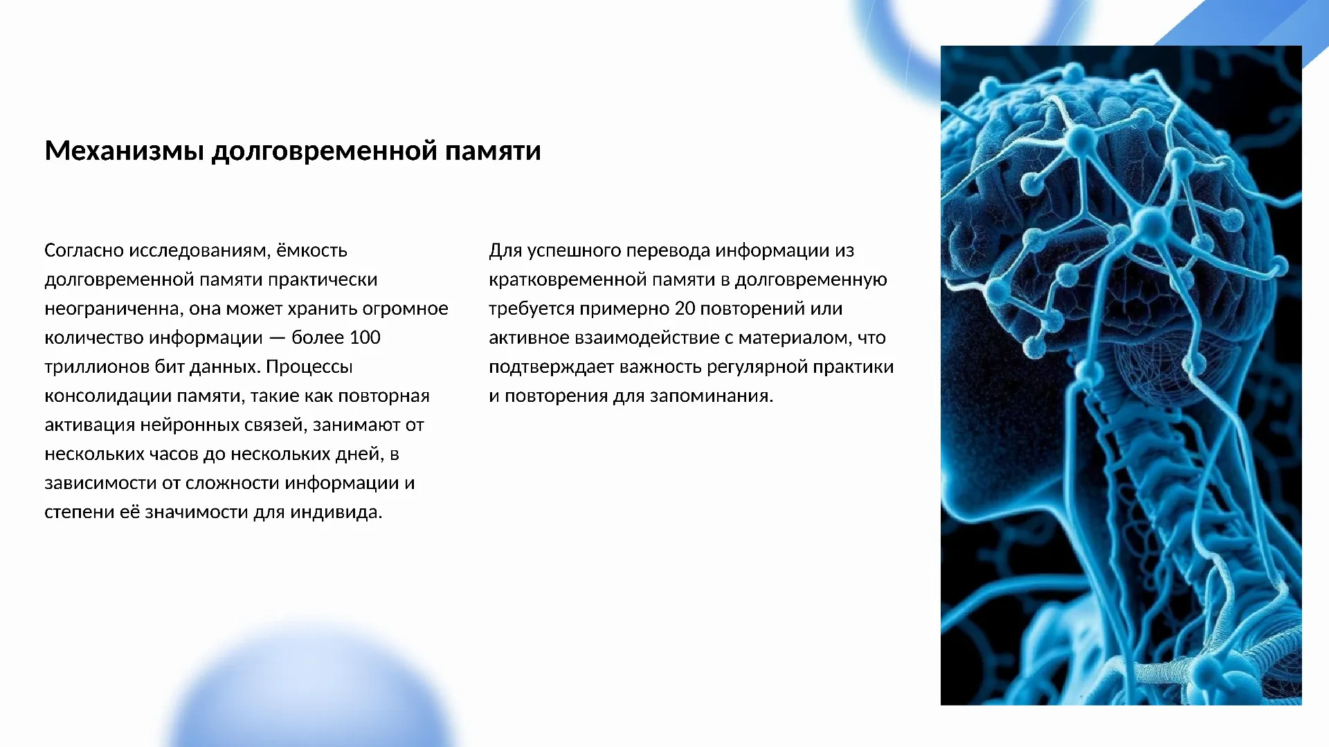 Механизмы долговременной памяти - слайд для презентации на тему 