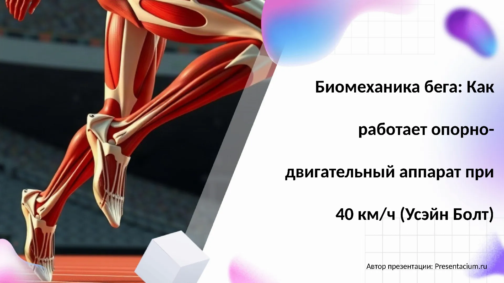 Биомеханика бега: Как работает опорно-двигательный аппарат при 40 км/ч (Усэйн Болт).
