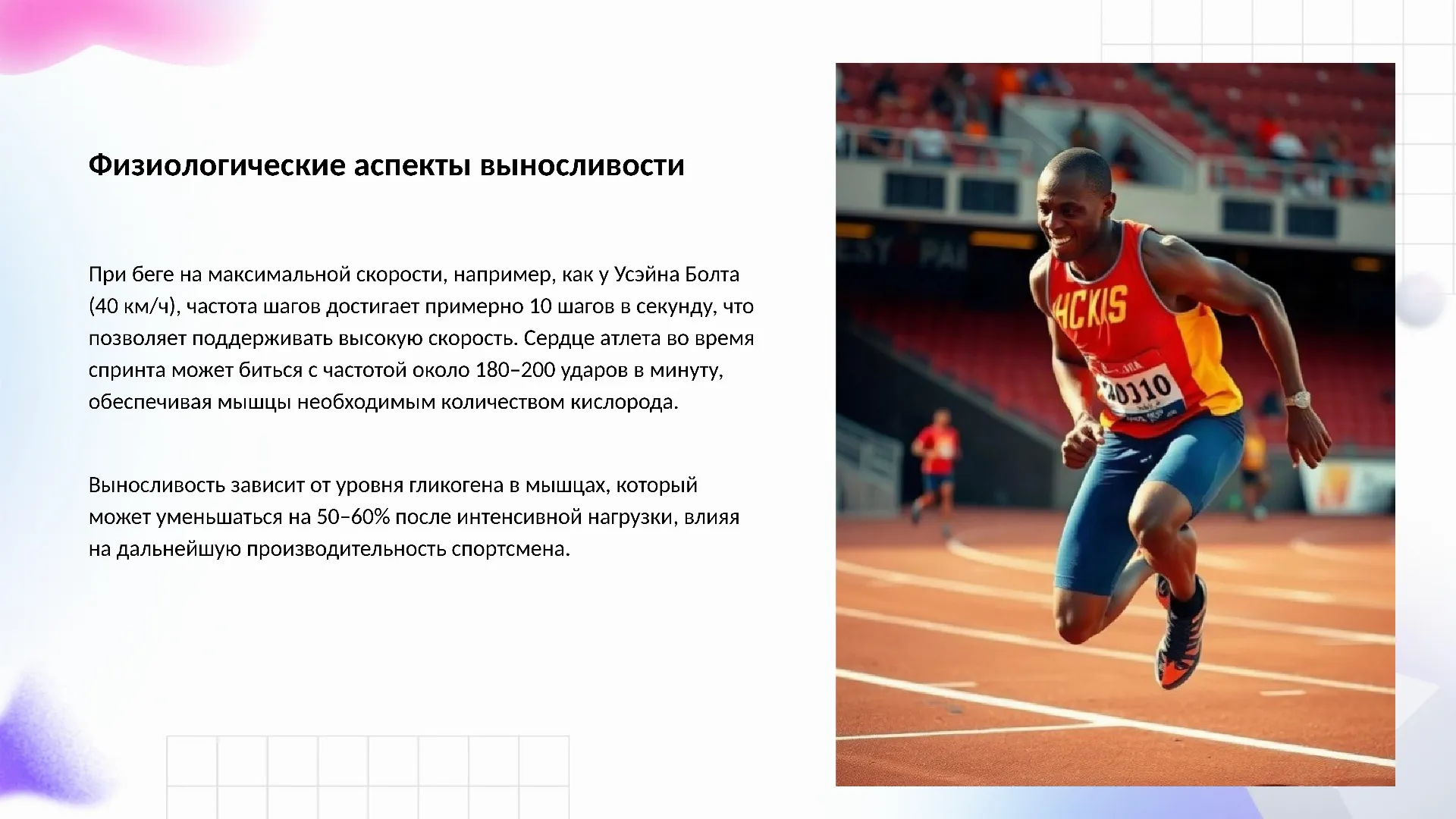 Физиологические аспекты выносливости - слайд для презентации на тему 