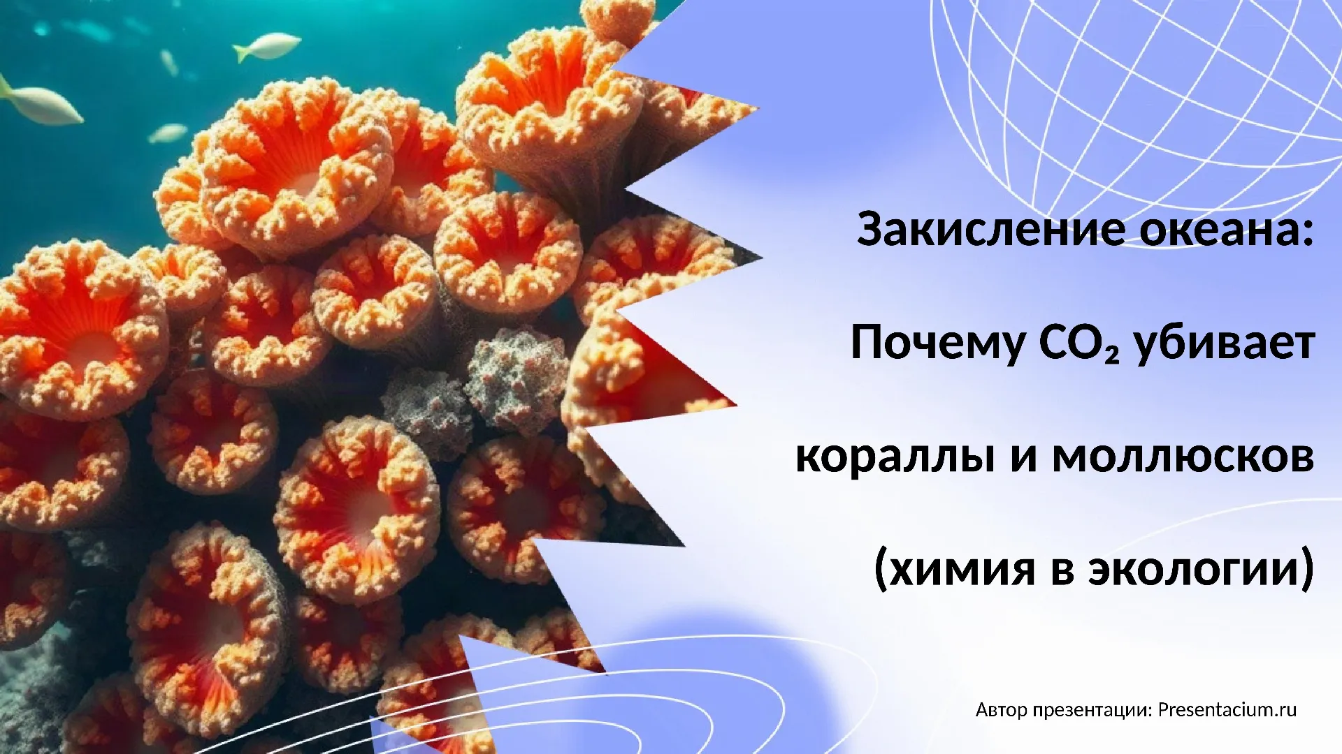 Закисление океана: Почему CO₂ убивает кораллы и моллюсков (химия в экологии).