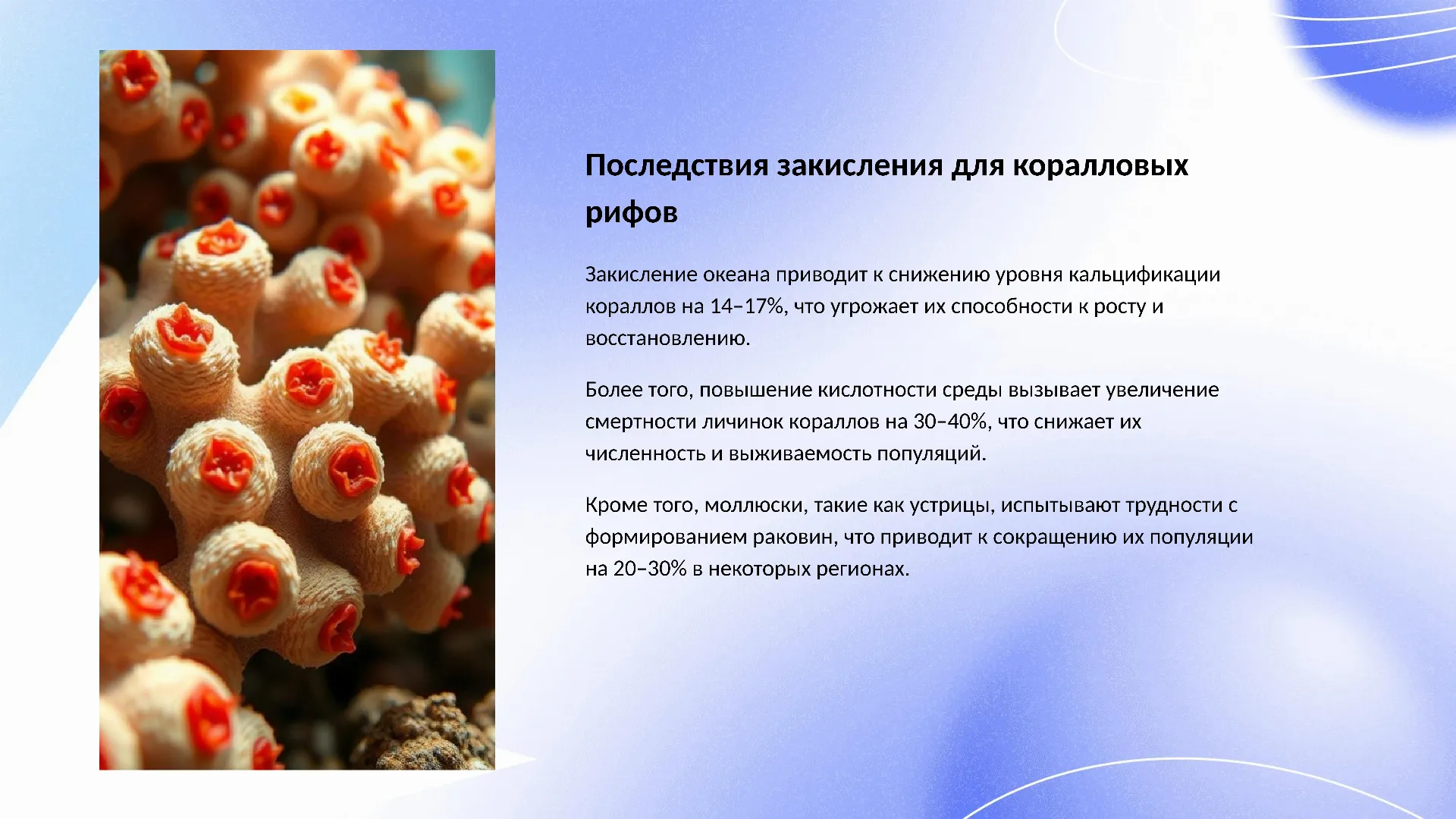 Последствия закисления для коралловых рифов - слайд для презентации на тему 