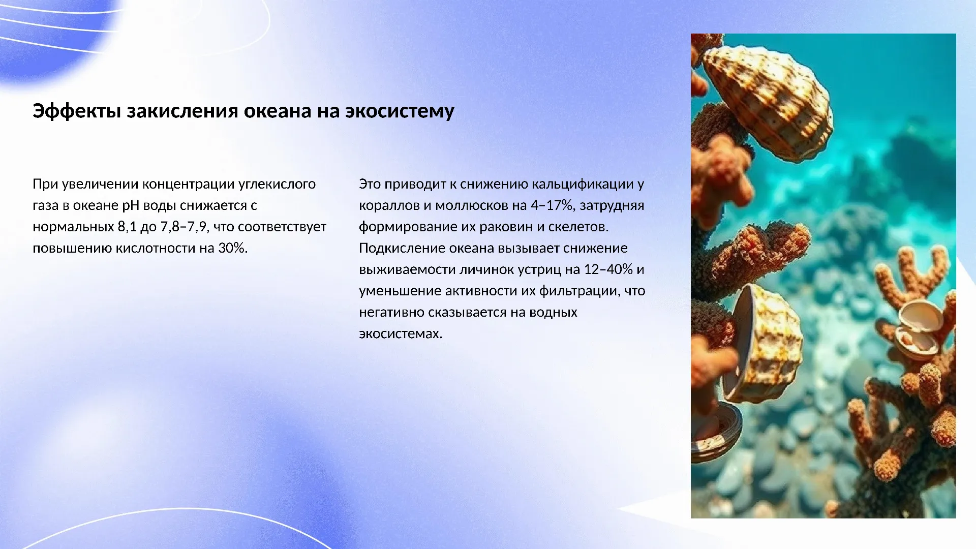 Эффекты закисления океана на экосистему - слайд для презентации на тему 
