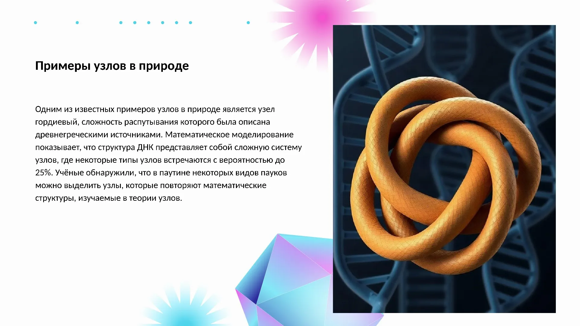 Примеры узлов в природе - слайд для презентации на тему 