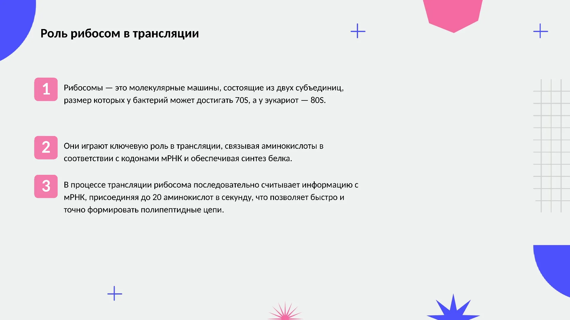 Роль рибосом в трансляции - слайд для презентации на тему 