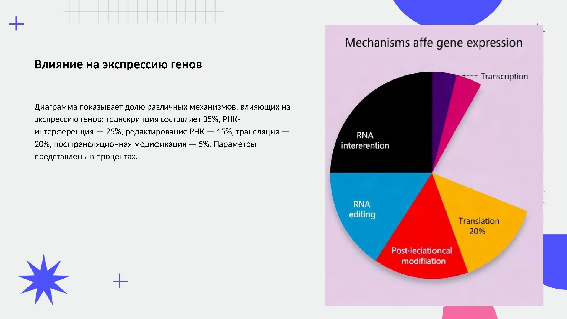 Влияние на экспрессию генов - слайд для презентации на тему 