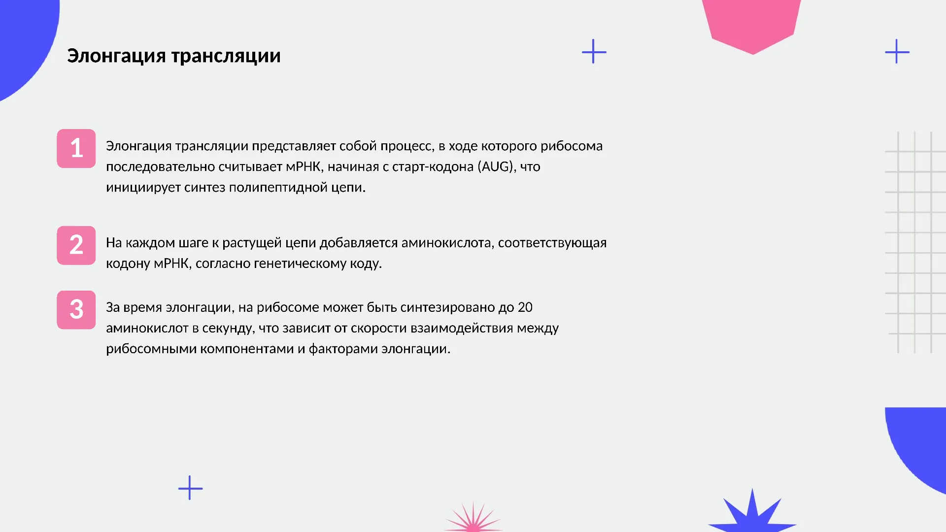Элонгация трансляции - слайд для презентации на тему 