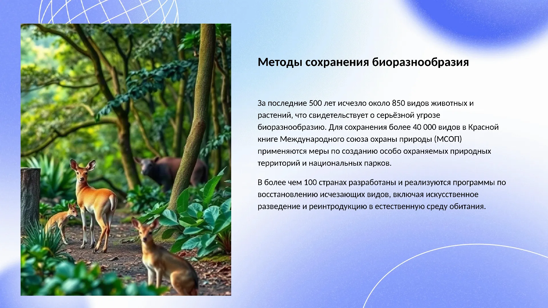 Методы сохранения биоразнообразия - слайд для презентации на тему 