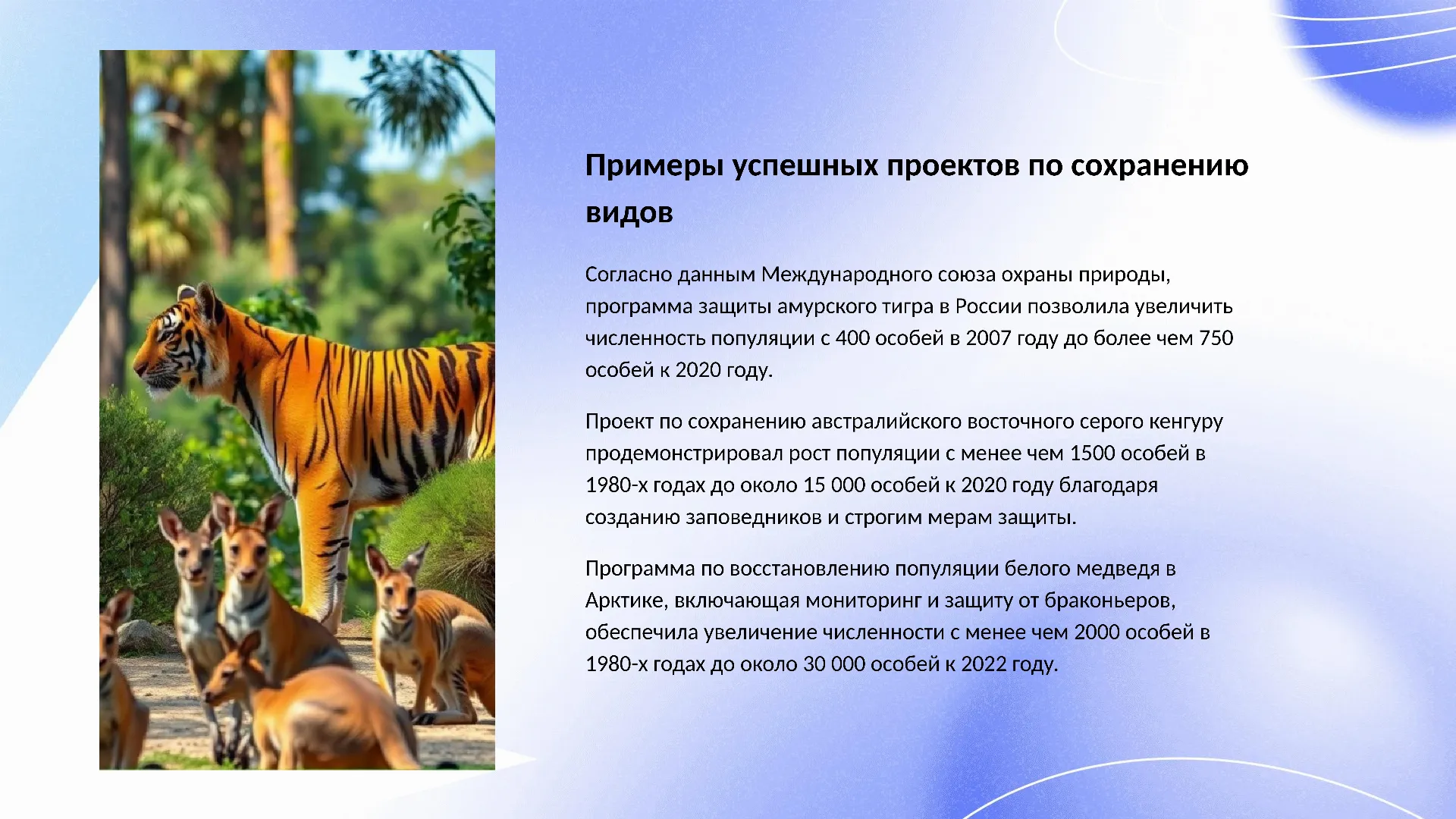 Примеры успешных проектов по сохранению видов - слайд для презентации на тему 