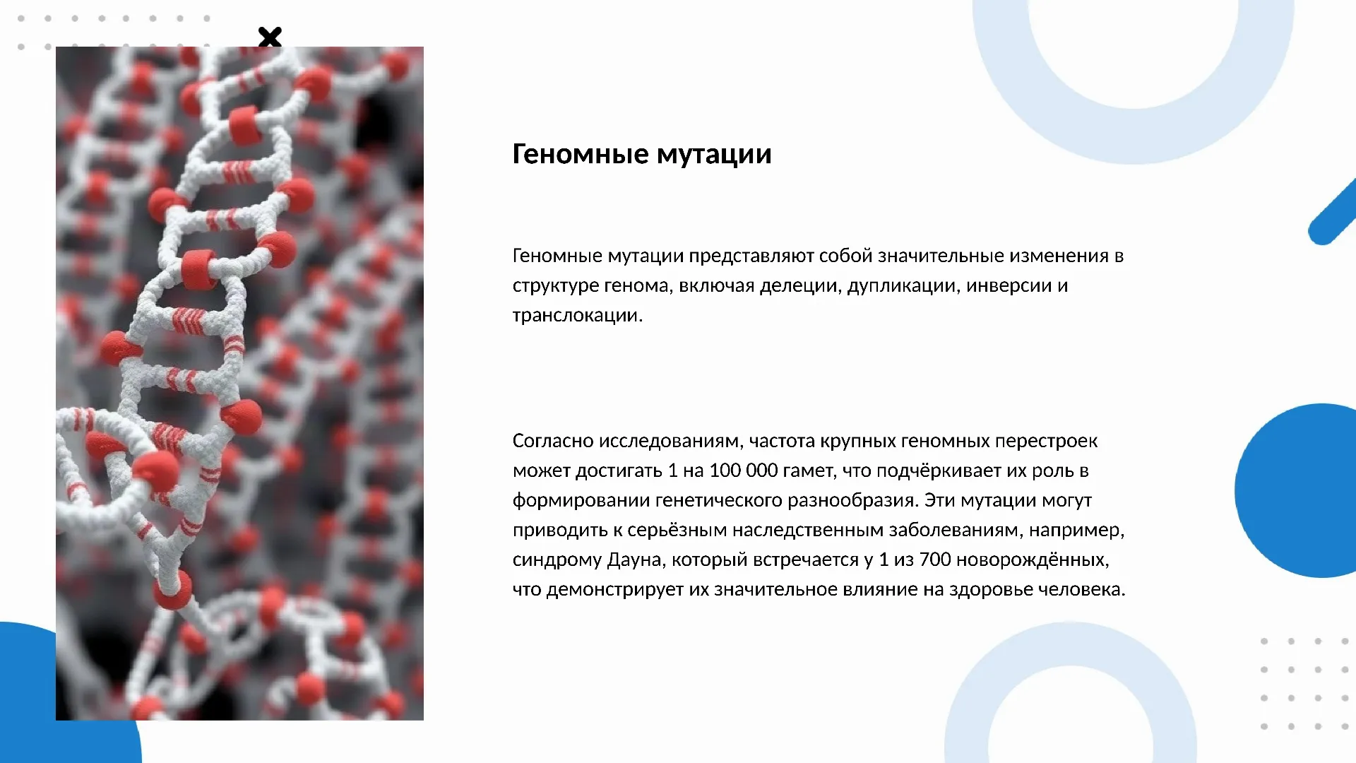 Геномные мутации - слайд для презентации на тему 