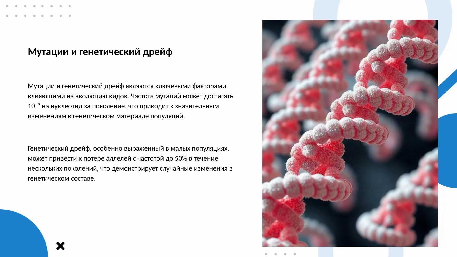 Мутации и генетический дрейф - слайд для презентации на тему 