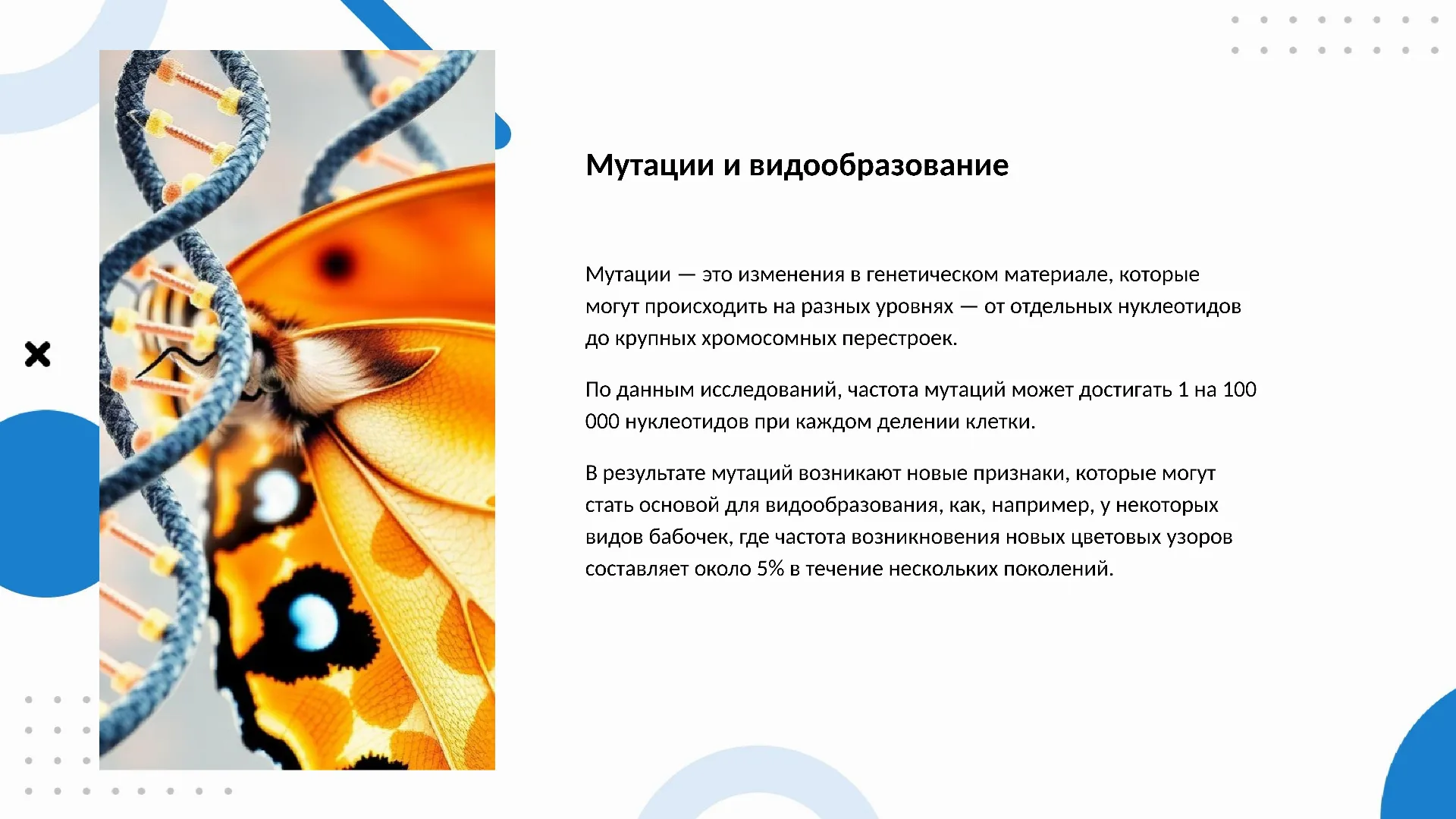 Мутации и видообразование - слайд для презентации на тему 