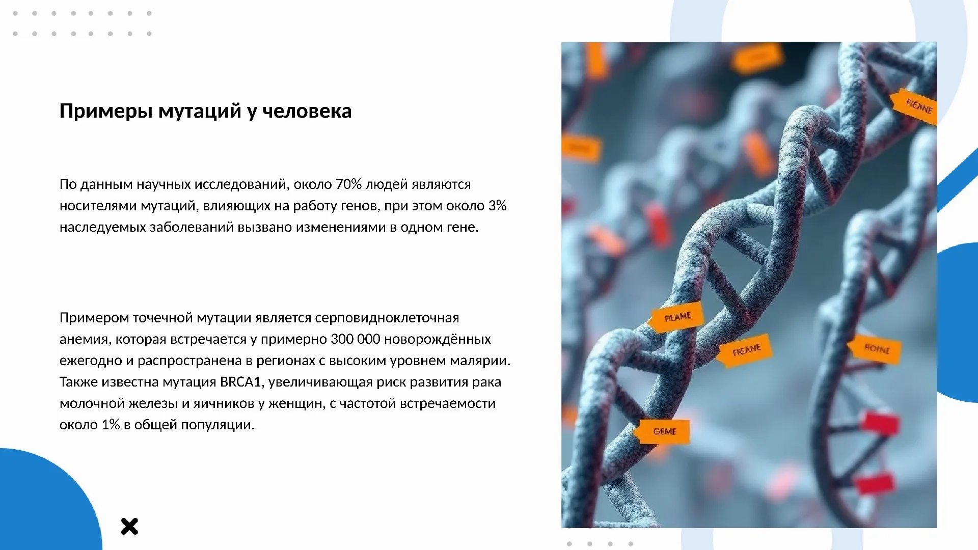 Примеры мутаций у человека - слайд для презентации на тему 
