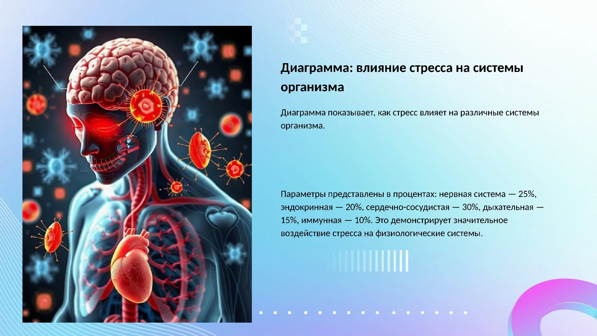 Диаграмма: влияние стресса на системы организма - слайд для презентации на тему 