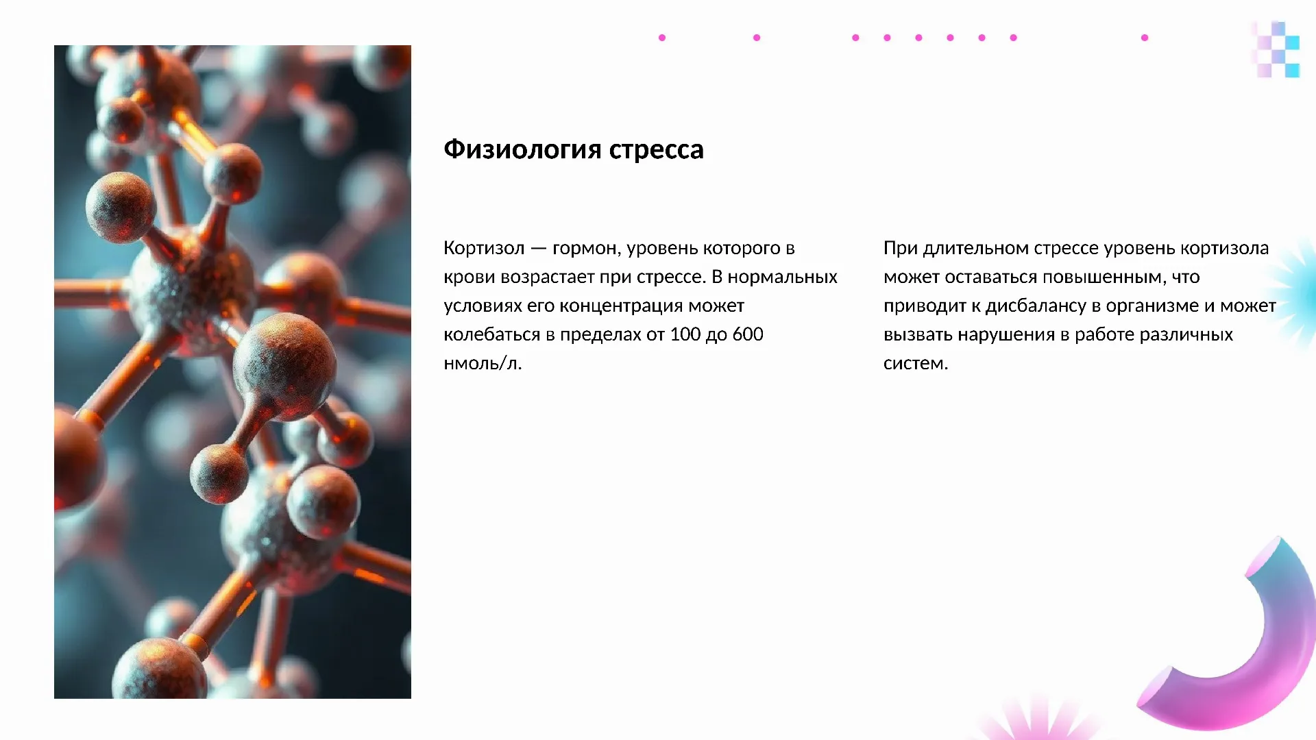 Физиология стресса - слайд для презентации на тему 