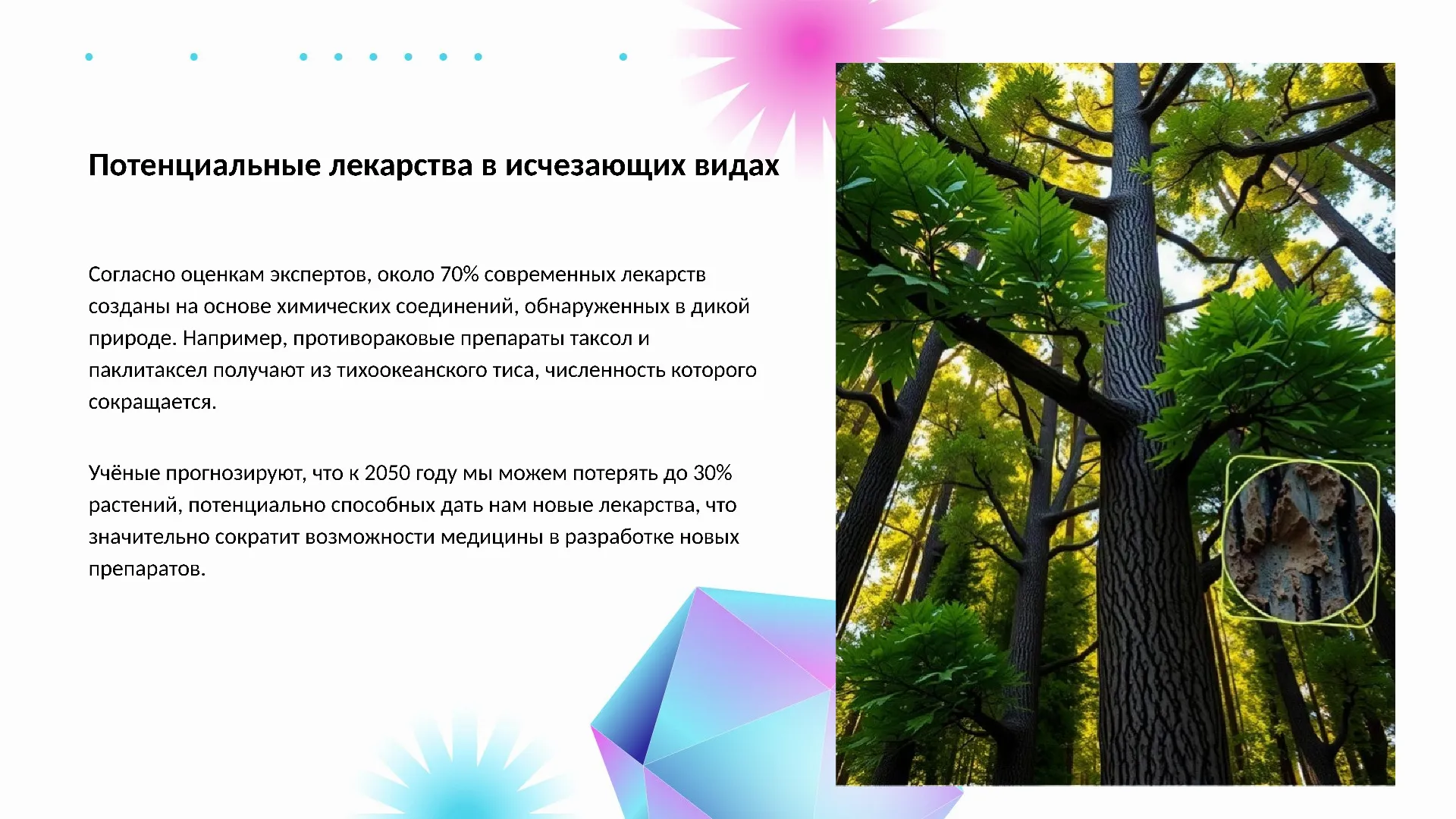 Потенциальные лекарства в исчезающих видах - слайд для презентации на тему 