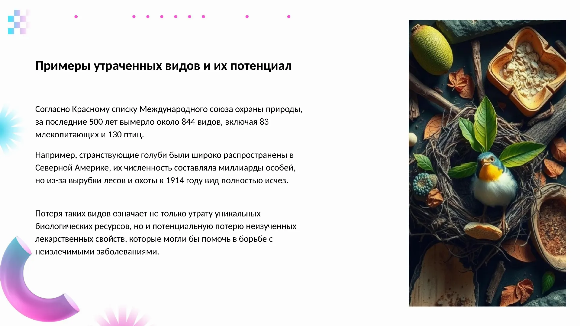 Примеры утраченных видов и их потенциал - слайд для презентации на тему 