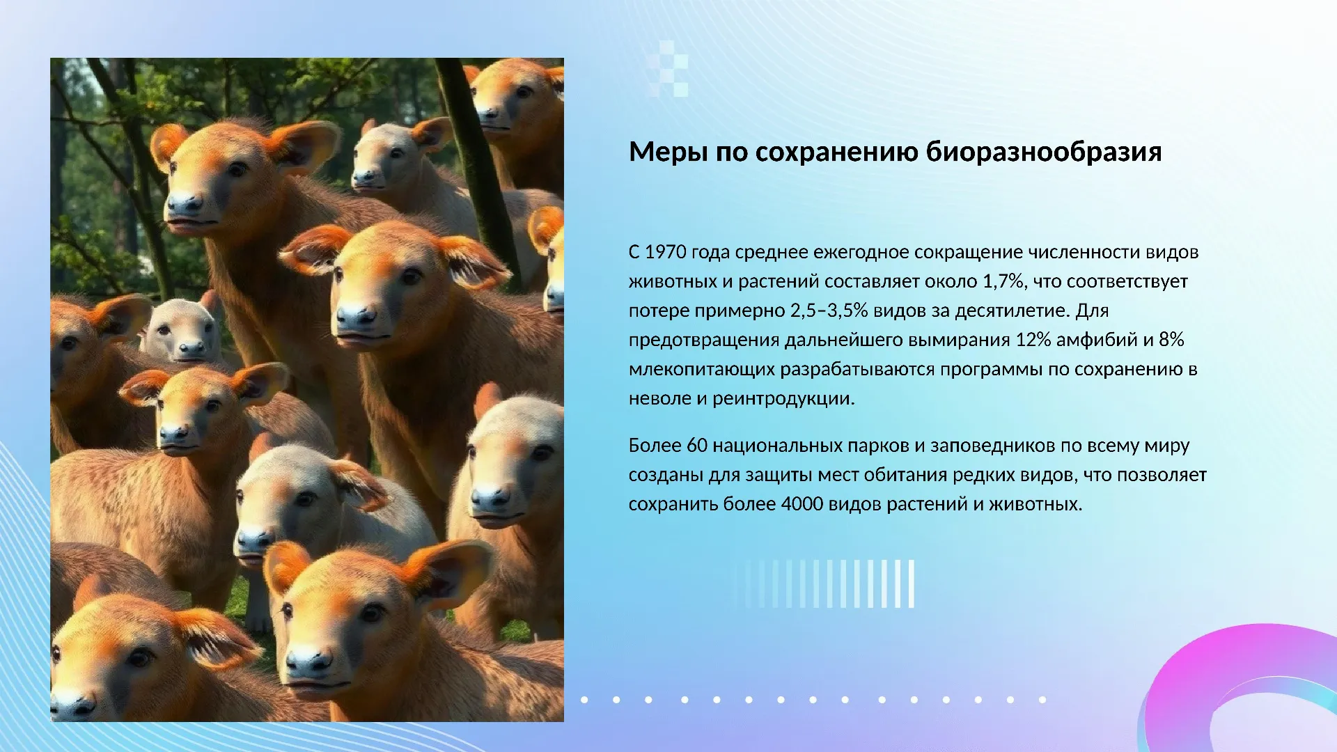 Меры по сохранению биоразнообразия - слайд для презентации на тему 