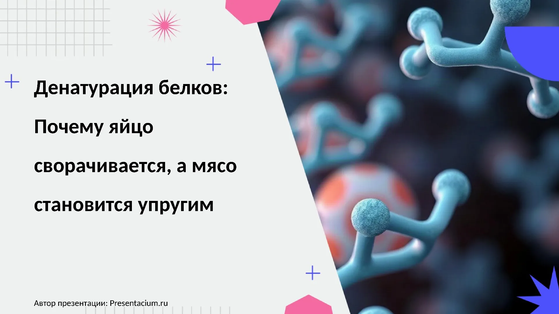 Денатурация белков: Почему яйцо сворачивается, а мясо становится упругим.