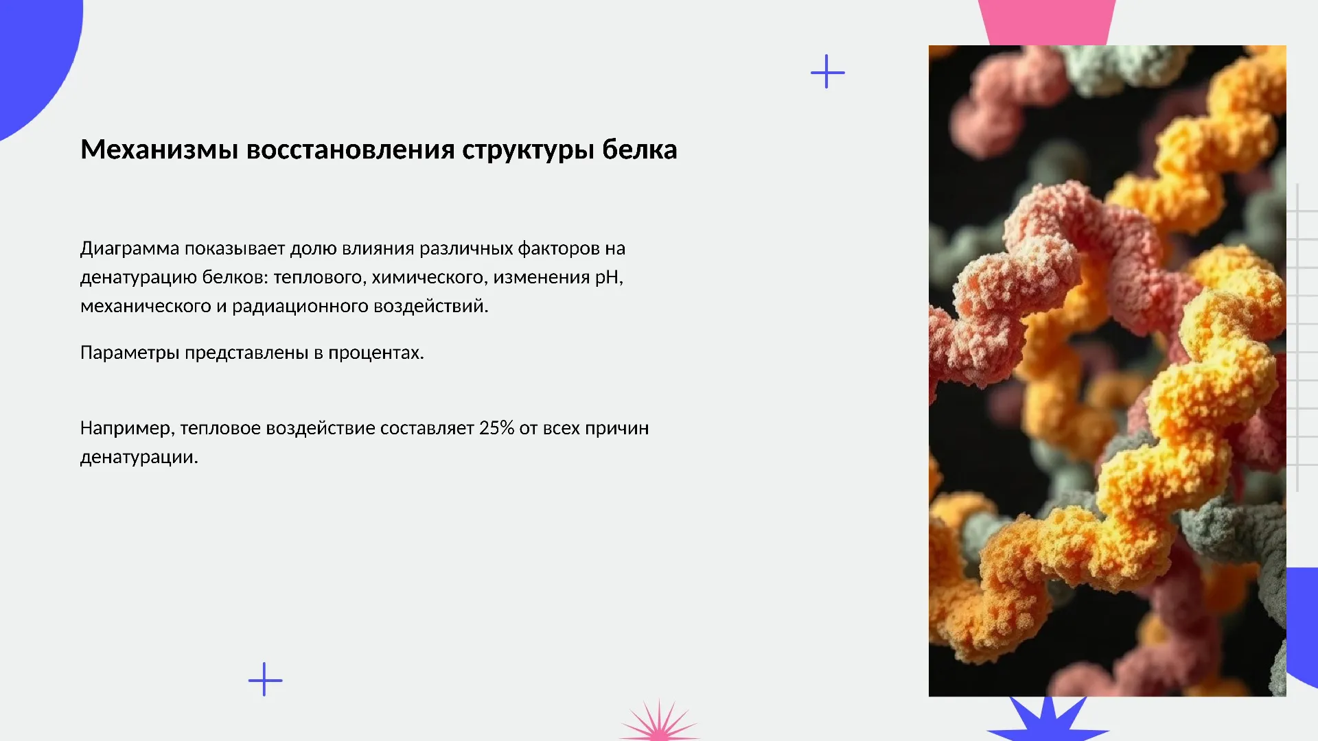 Механизмы восстановления структуры белка - слайд для презентации на тему 