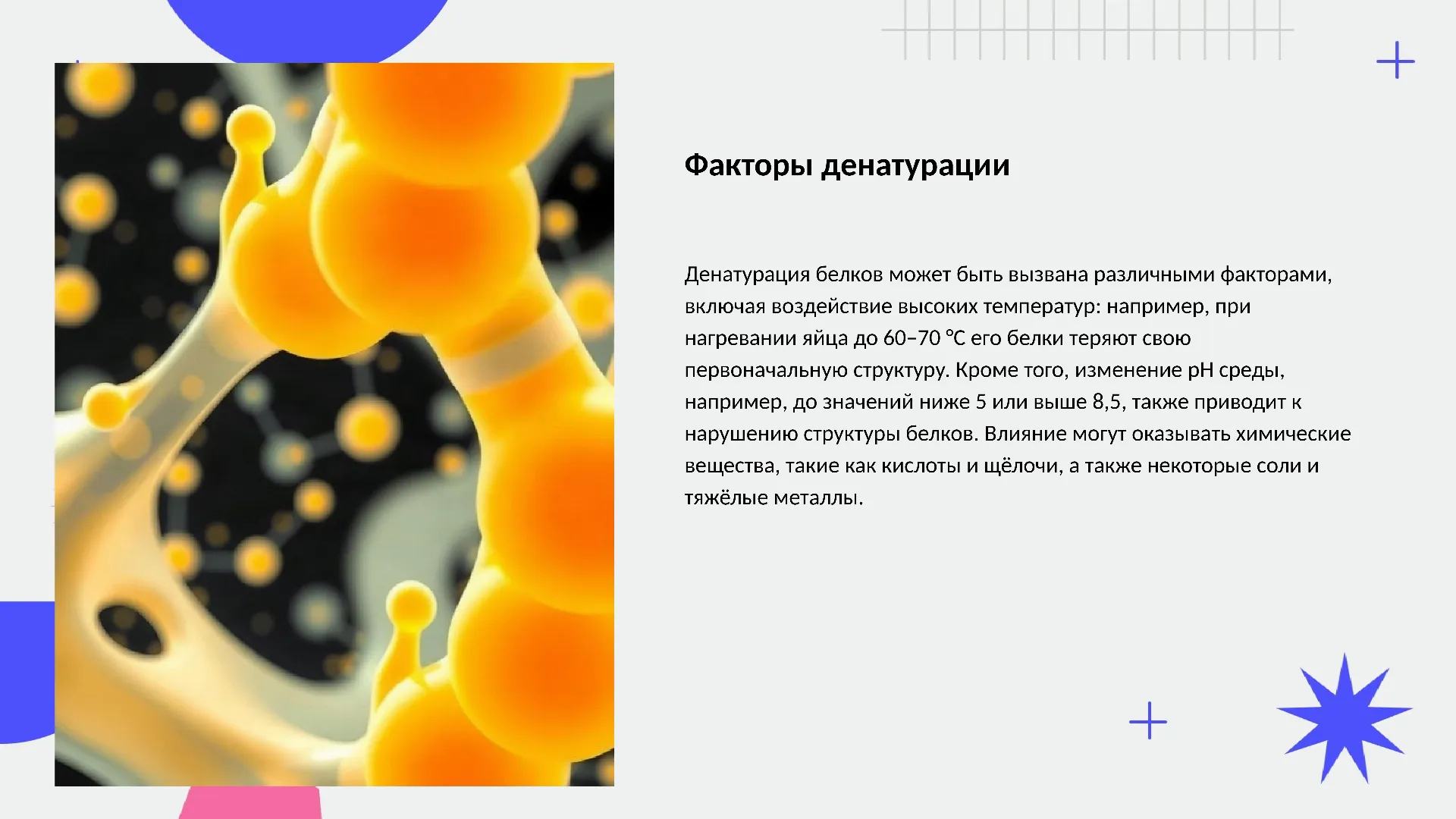 Факторы денатурации - слайд для презентации на тему 