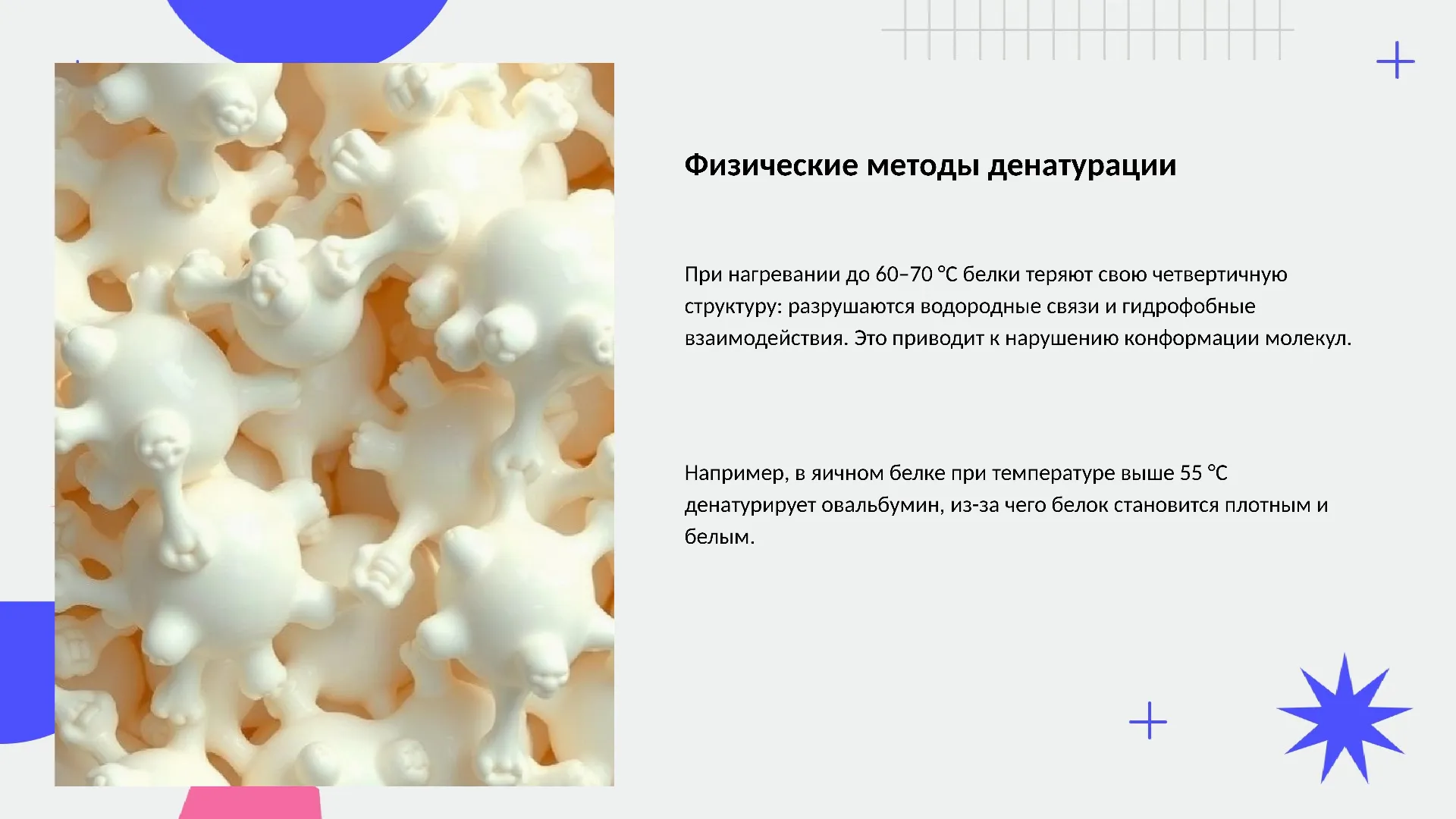 Физические методы денатурации - слайд для презентации на тему 