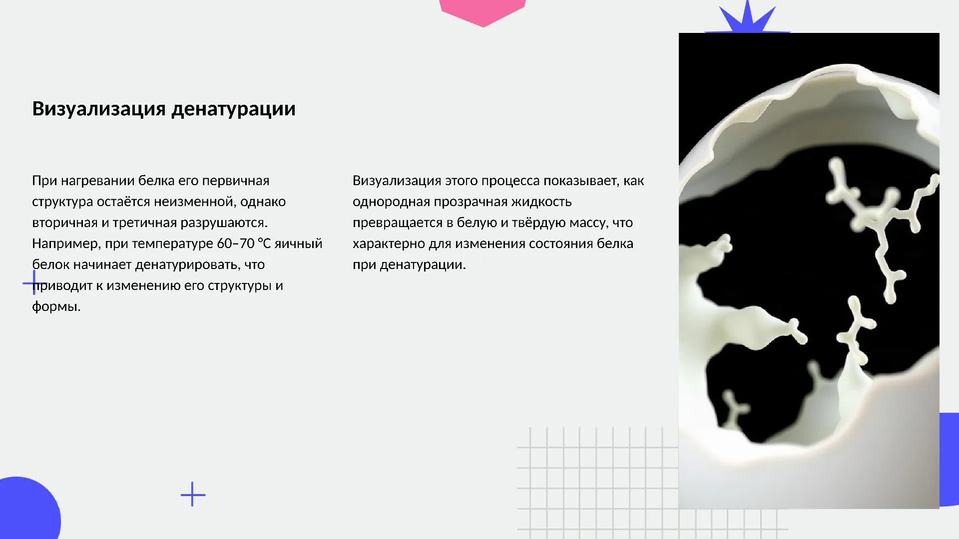 Визуализация денатурации - слайд для презентации на тему 