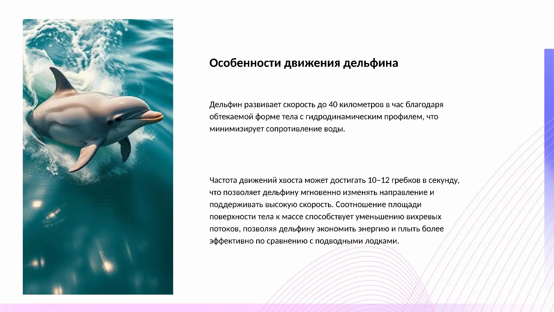 Особенности движения дельфина - слайд для презентации на тему 