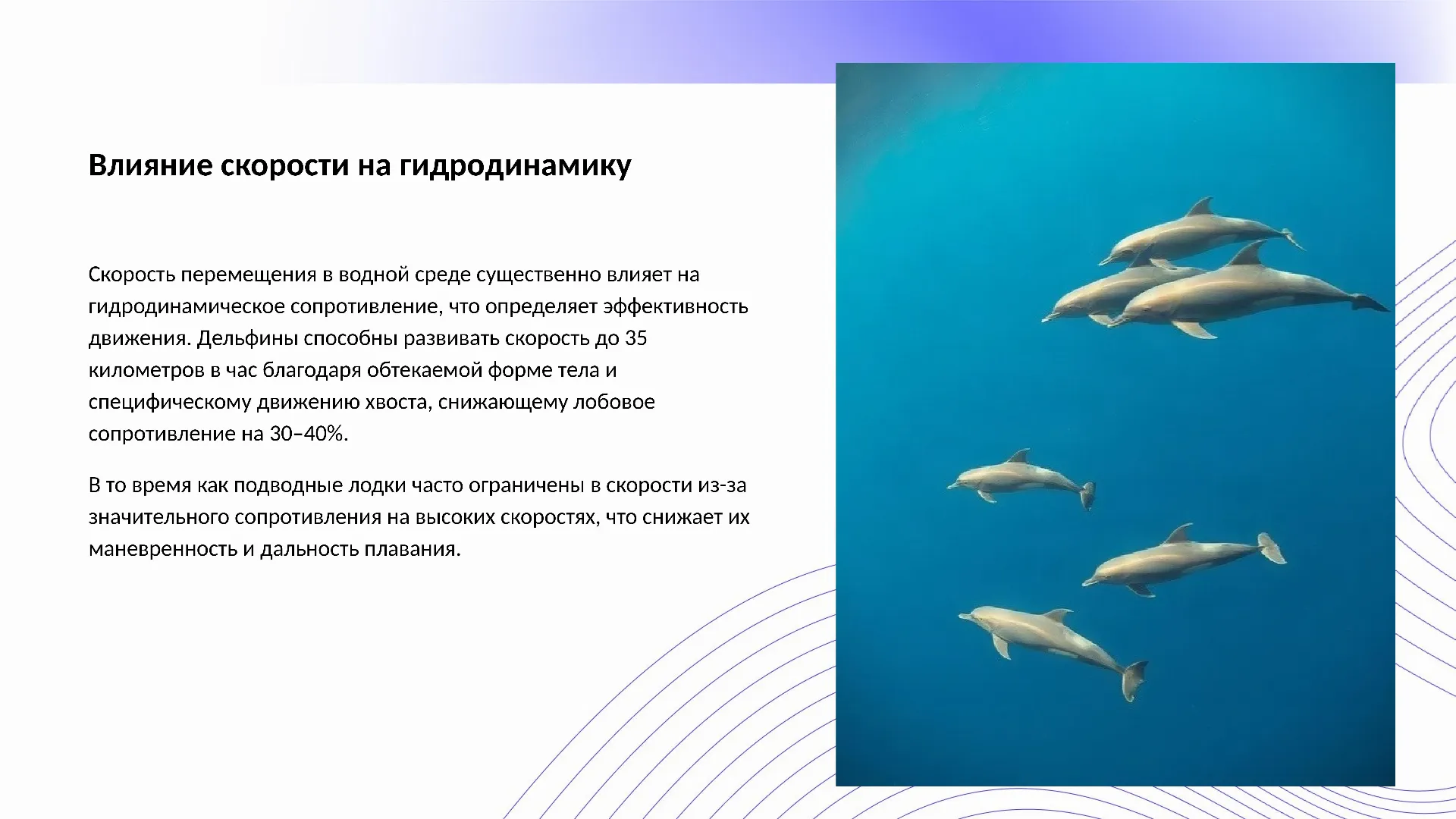 Влияние скорости на гидродинамику - слайд для презентации на тему 