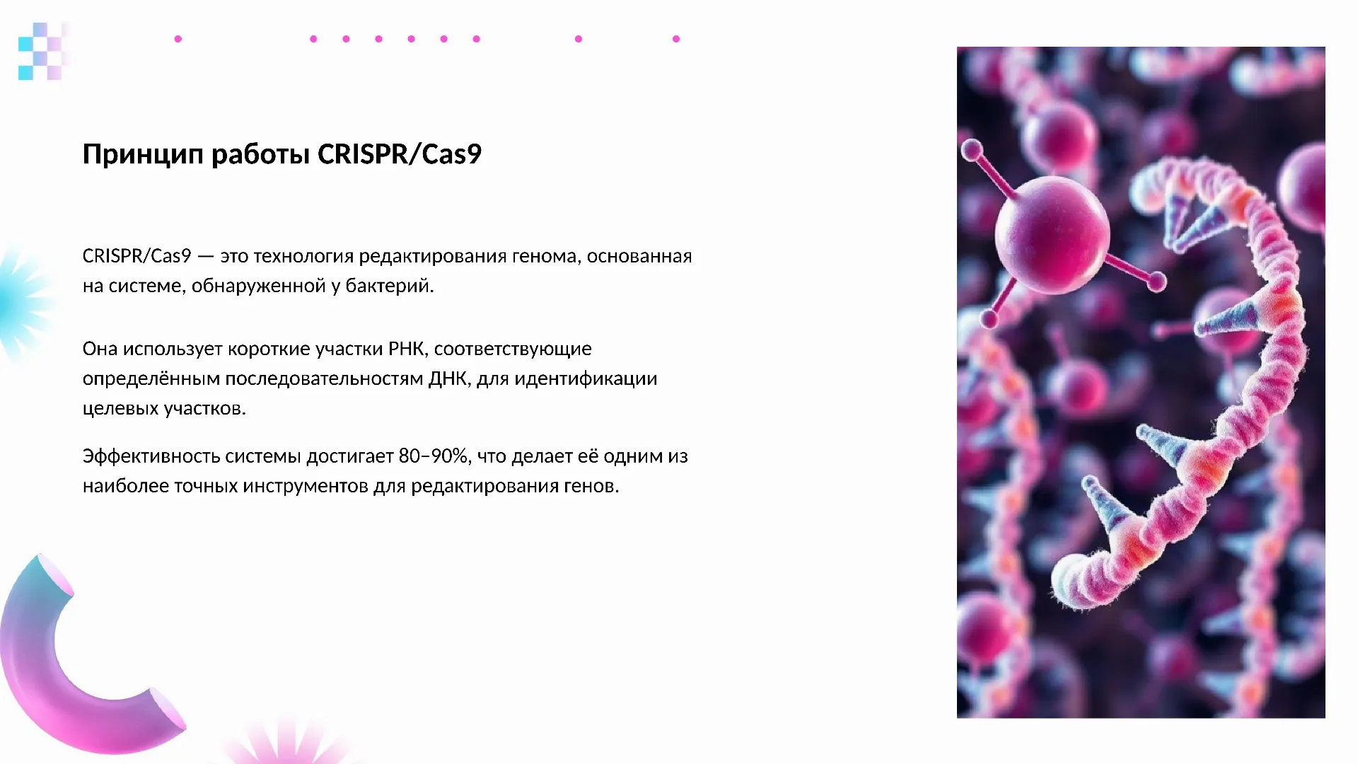 Принцип работы CRISPR/Cas9 - слайд для презентации на тему 