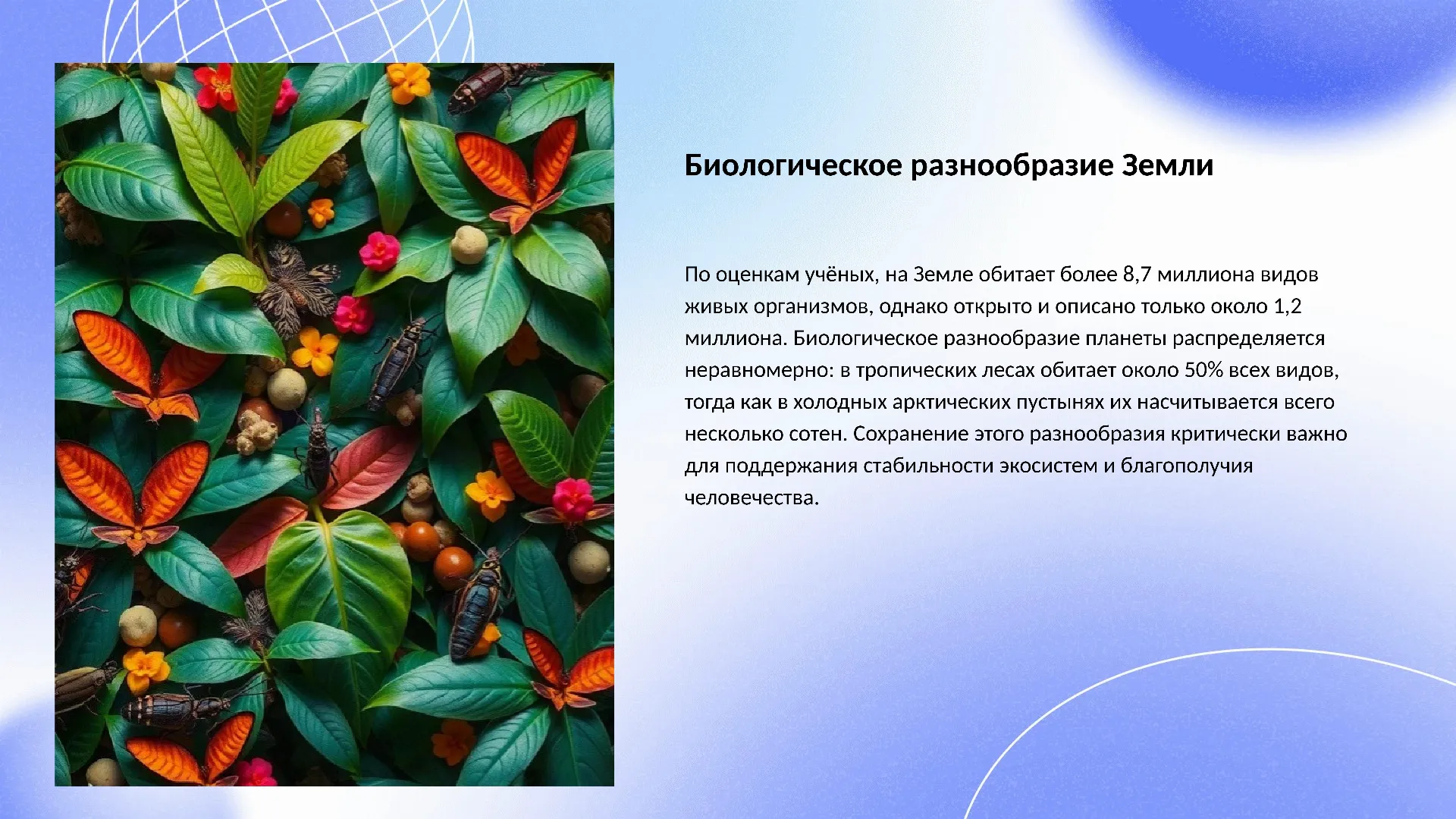 Биологическое разнообразие Земли - слайд для презентации на тему 