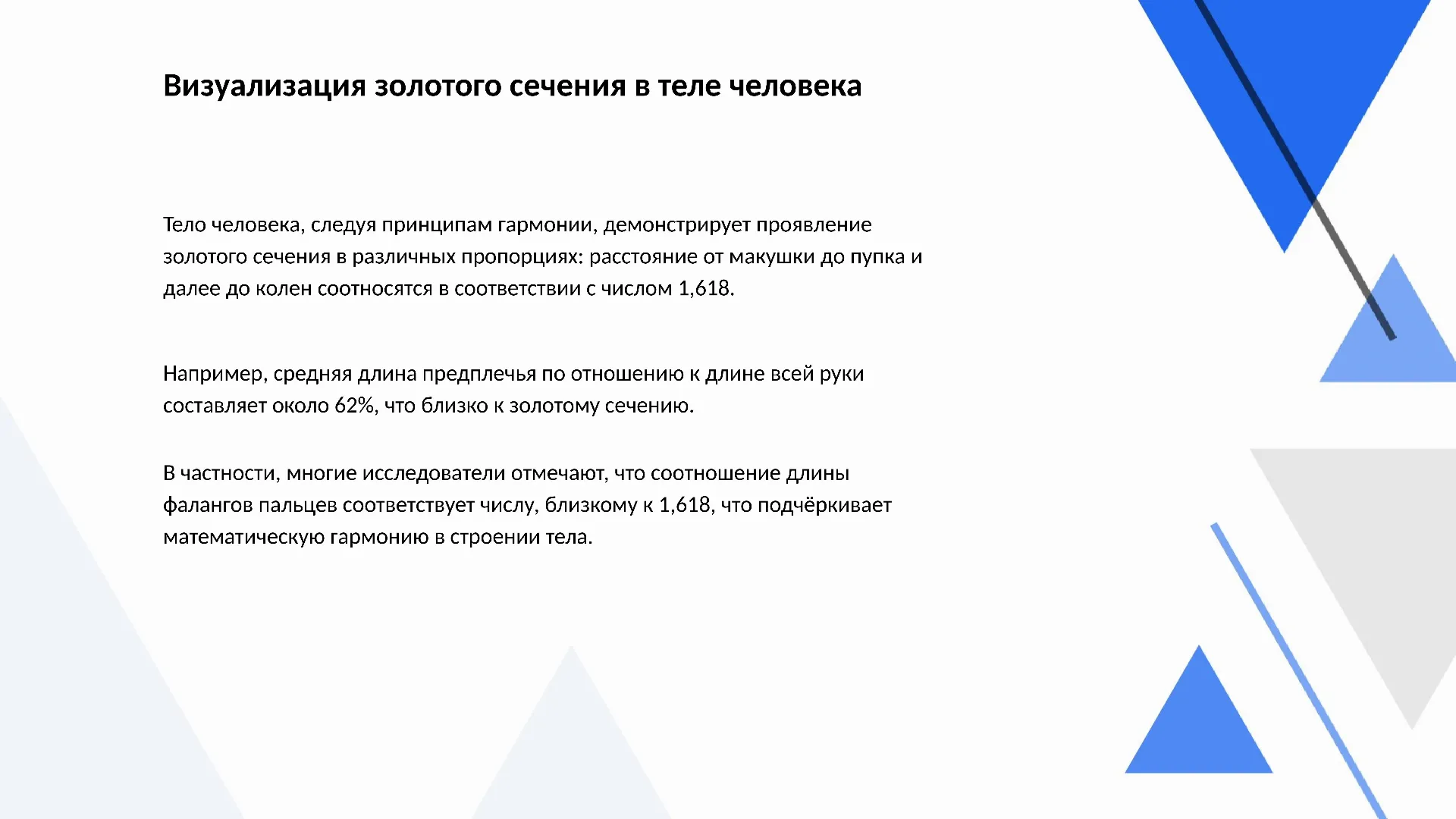 Визуализация золотого сечения в теле человека - слайд для презентации на тему 